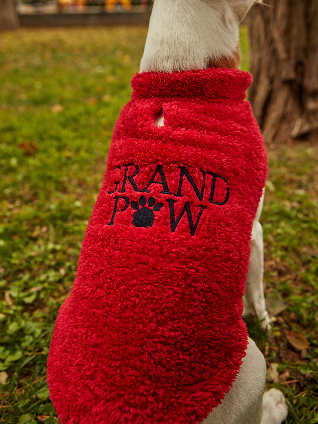 ملابس الحيوانات الأليفة-5