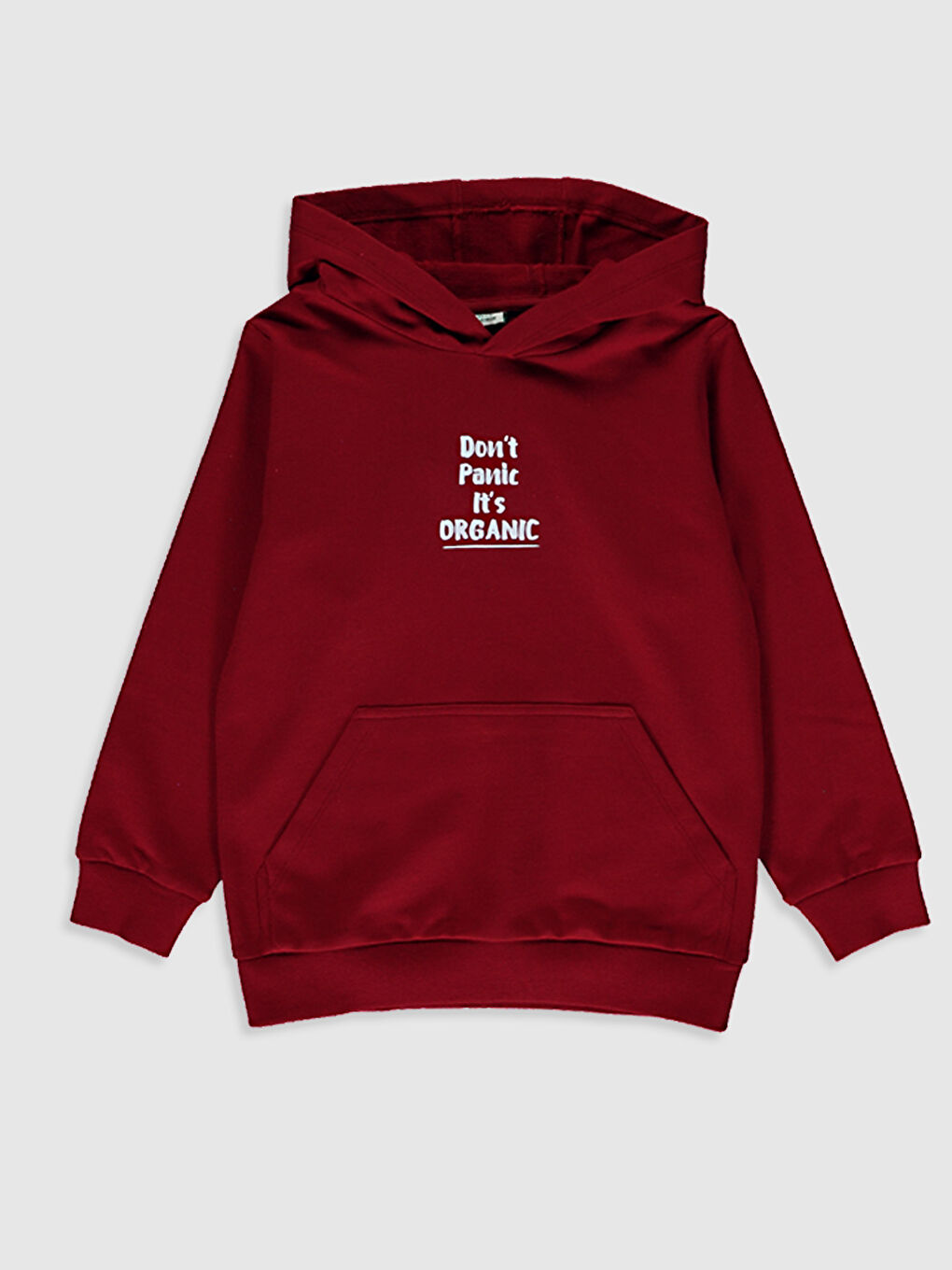 Boy's Hoodie