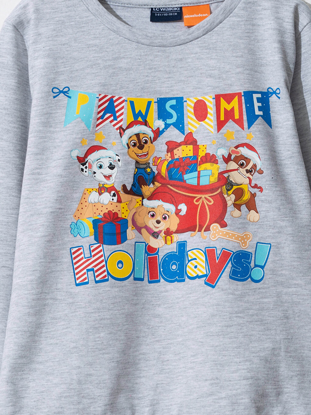 Gri Erkek Çocuk Paw Patrol Tişört-2
