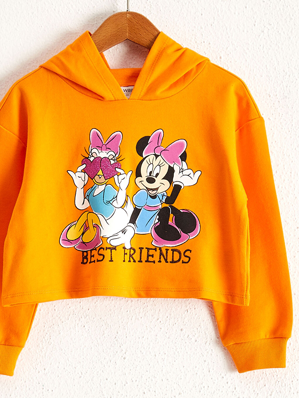 Girl's Licensed Hooded Sweatshirt-2