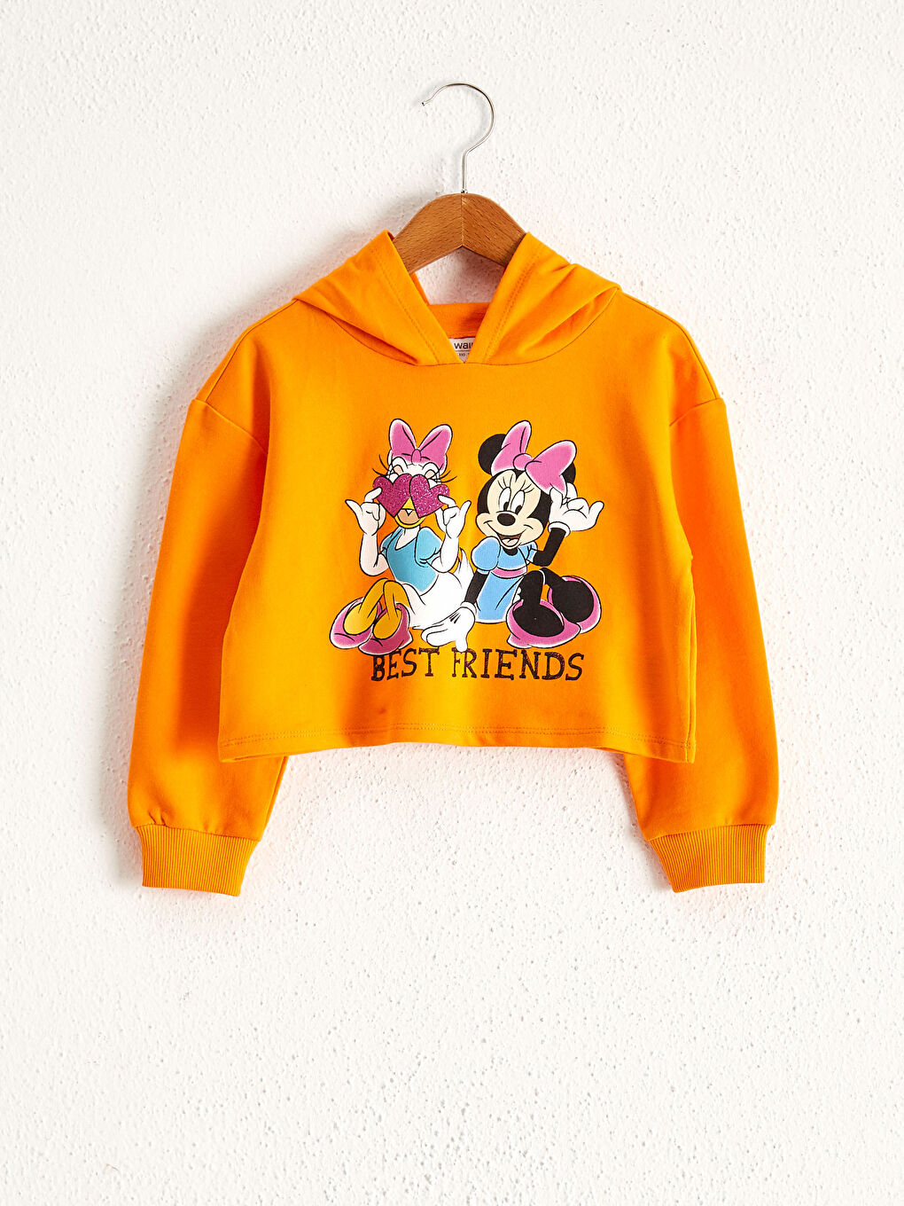 Girl's Licensed Hooded Sweatshirt