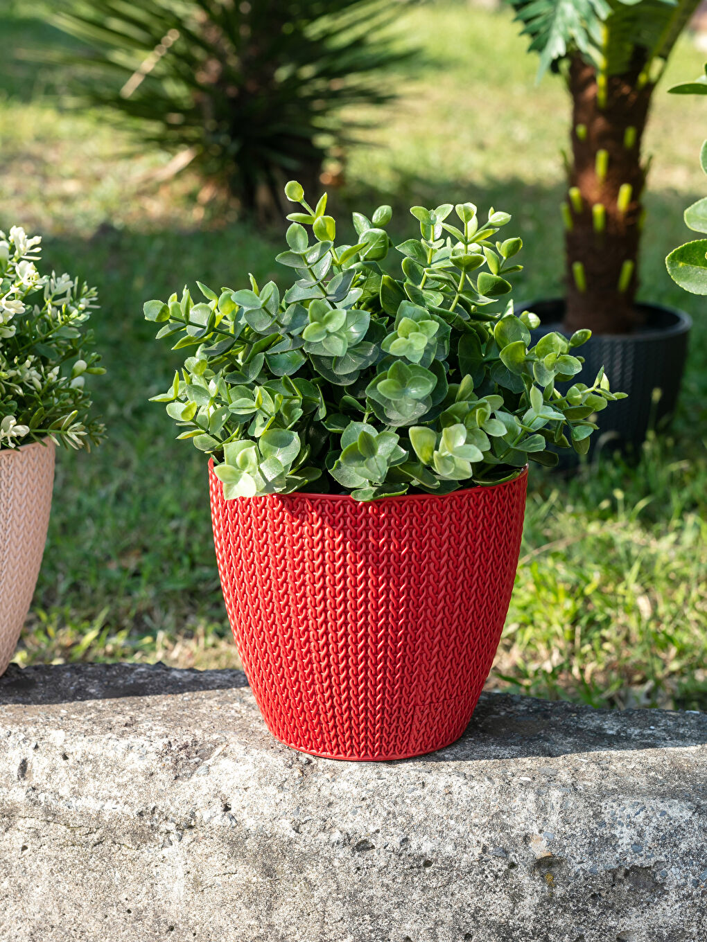 Kırmızı Serinova Sümela Saksı 