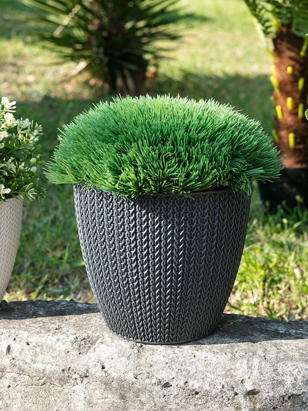 Antrasit Serinova Sümela Saksı 