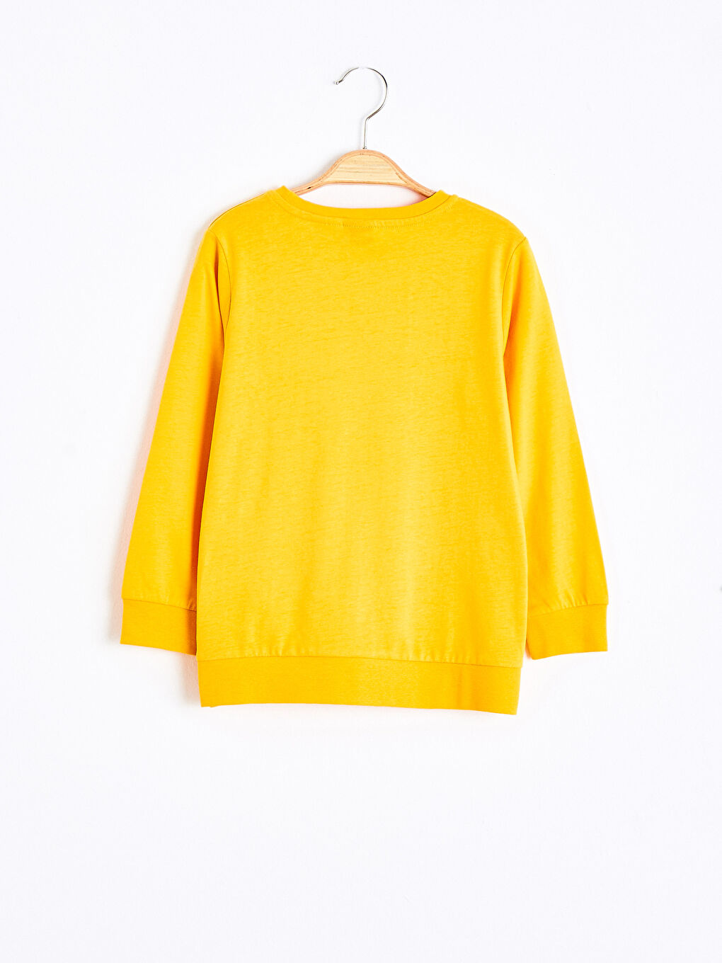 Boy Scooby Doo Printed Sweatshirt-1