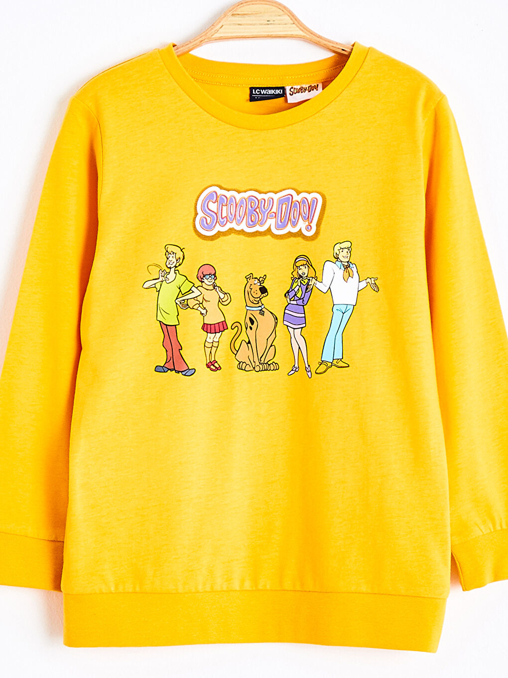 Boy Scooby Doo Printed Sweatshirt-2