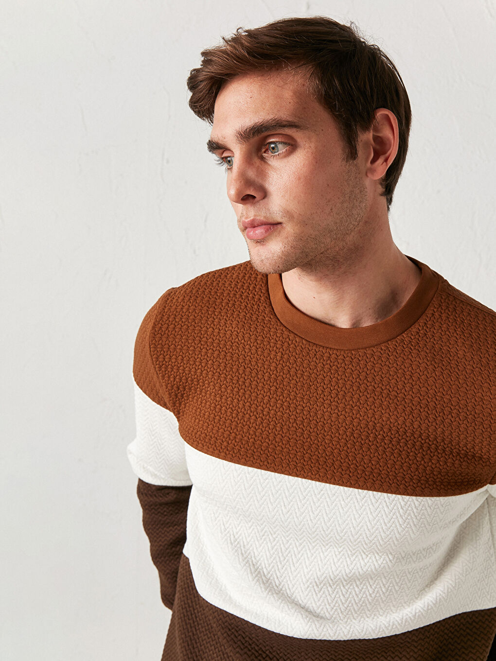 LCW Vision Slim Fit Crew Neck Color-Blocked Sweatshirt -0WHF09Z8-JJL
