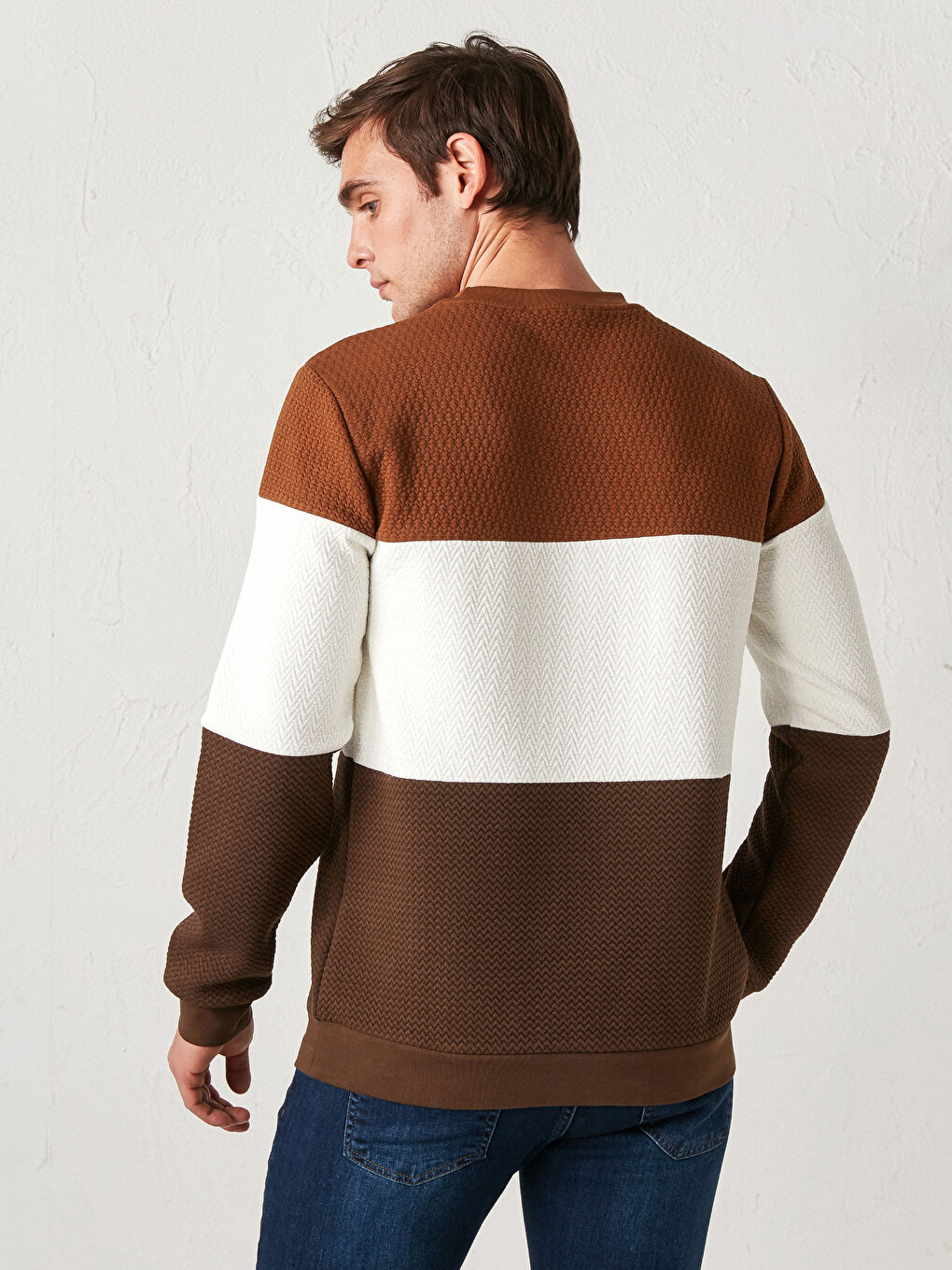 LCW Vision Slim Fit Crew Neck Color-Blocked Sweatshirt -0WHF09Z8-JJL