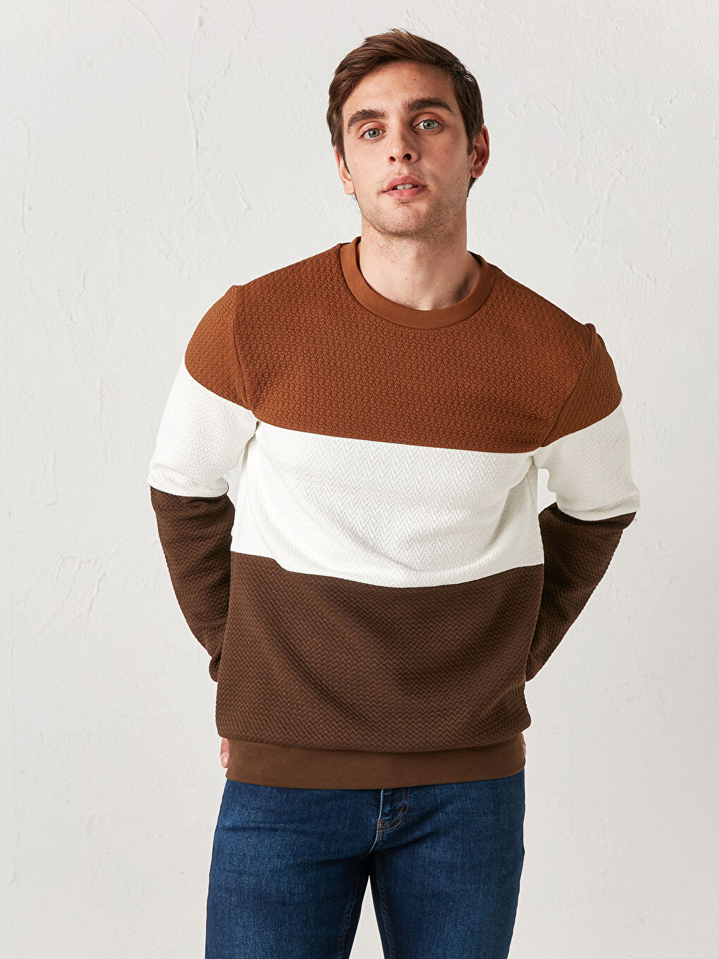 LCW Vision Slim Fit Crew Neck Color-Blocked Sweatshirt -0WHF09Z8-JJL