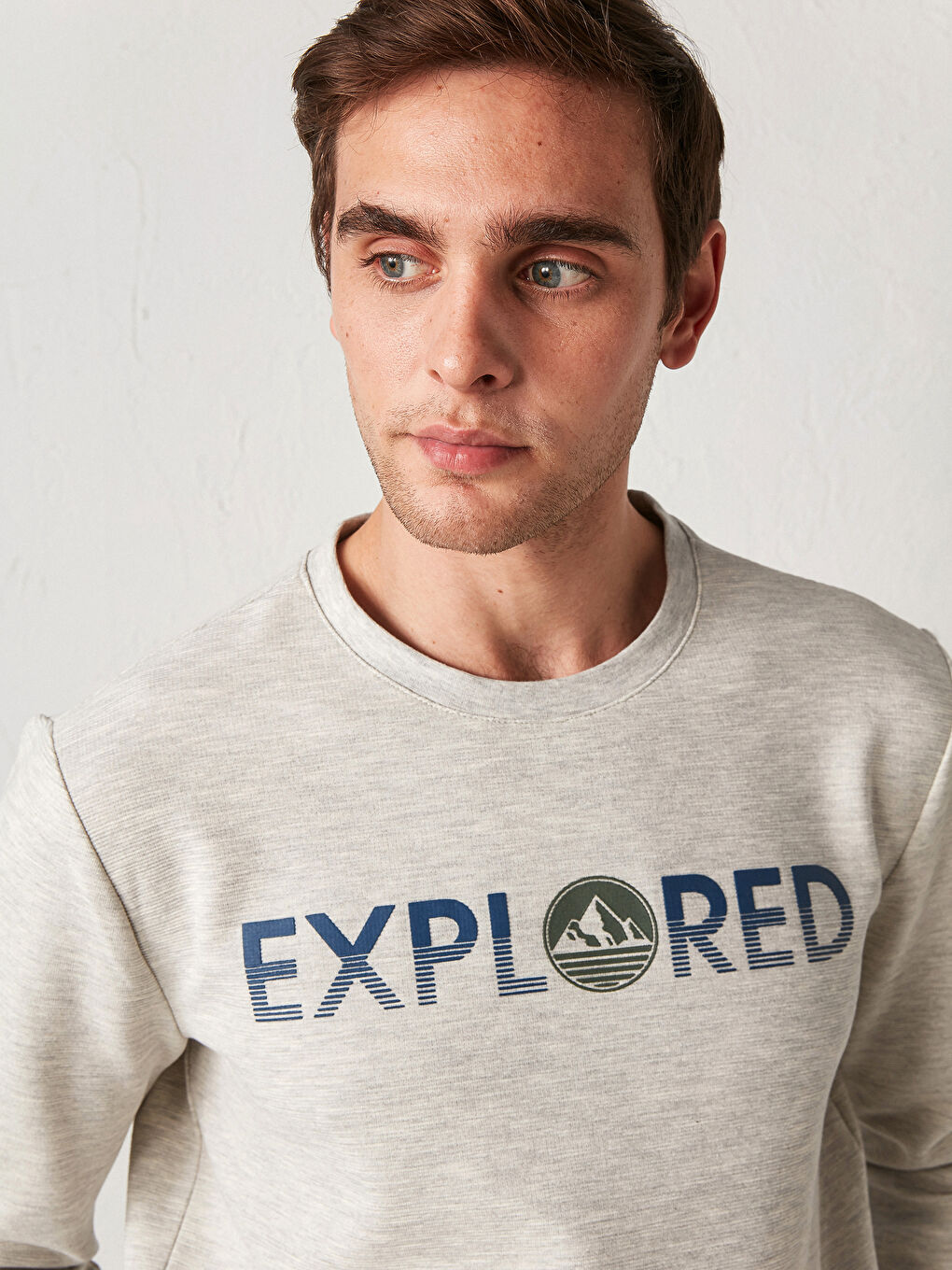 Crew Neck Printed Thin Sweatshirt-2