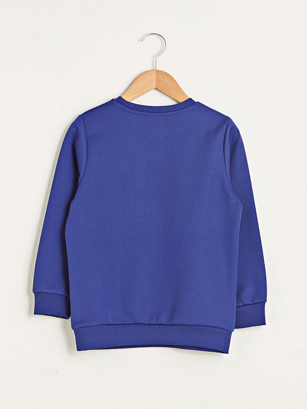 Crew Neck Printed Long Sleeve Boys' Sweatshirt-1