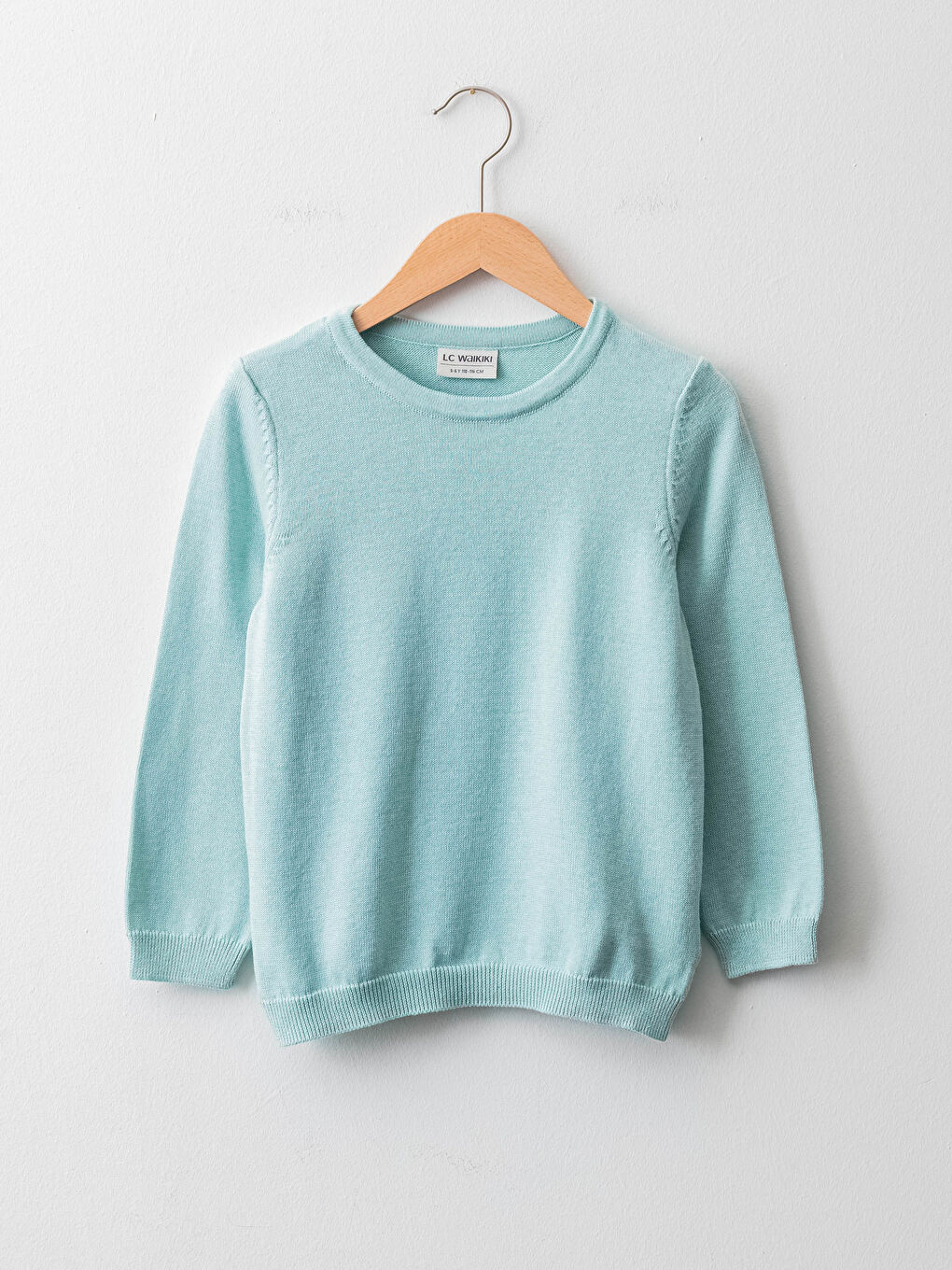 Crew Neck Basic Long Sleeve Girl Thin Tricot Sweater
