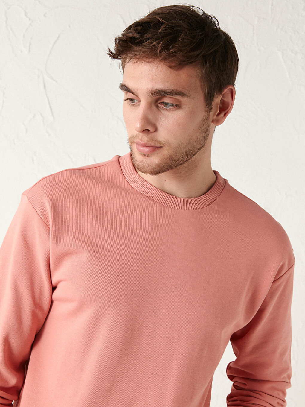 Свитшот Мужской Базовый С Длинным Рукавом И Круглым Вырезом-2