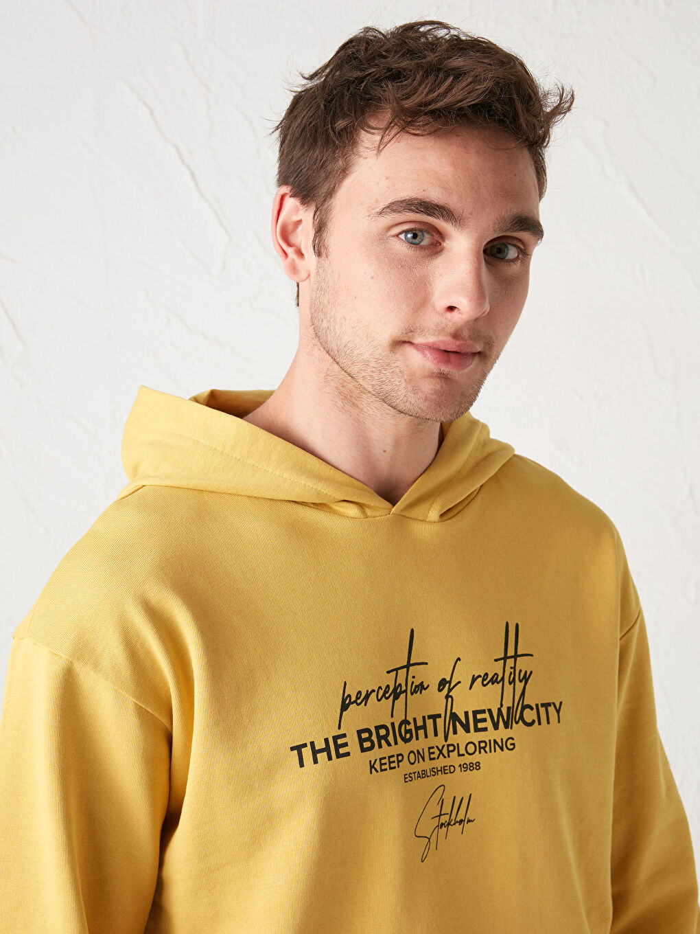 Long Sleeve Printed Thick Men's Hoodie-2