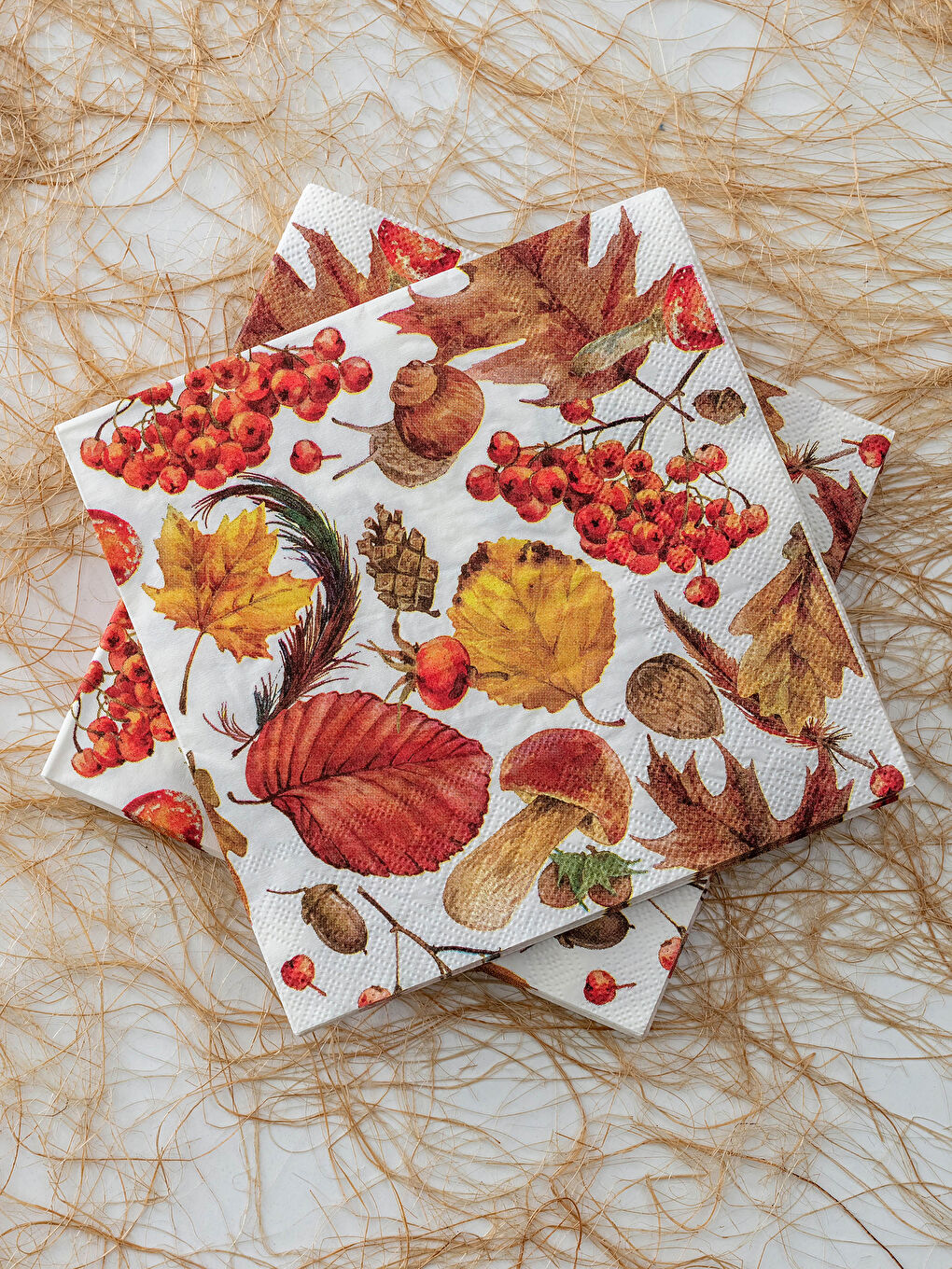 Serviettes en Papier Imprimées Paquet de 20 33x33 Cm