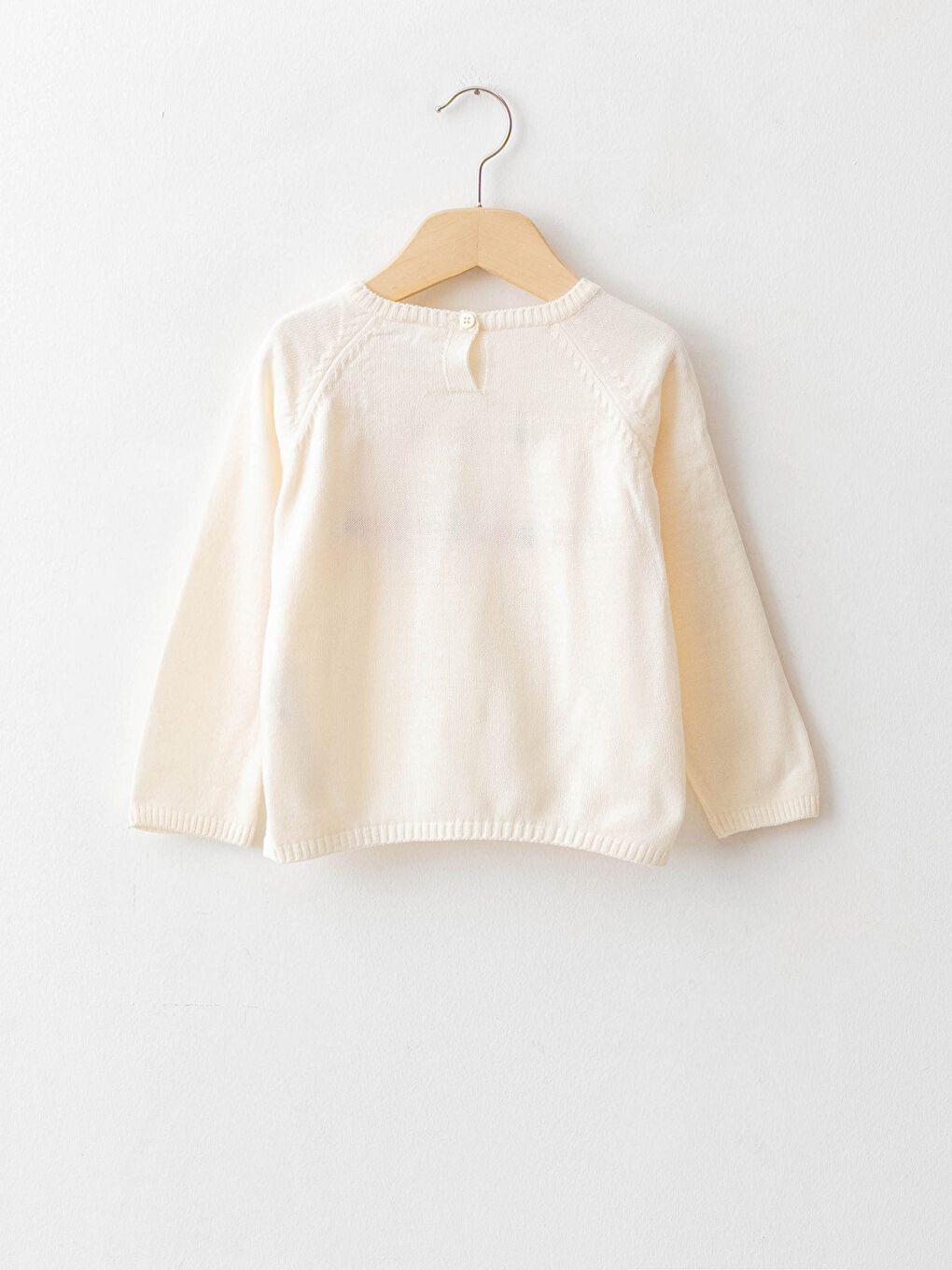 Crew Neck Long Sleeve Embroidery Detailed Baby Girl Knitwear Sweater-1