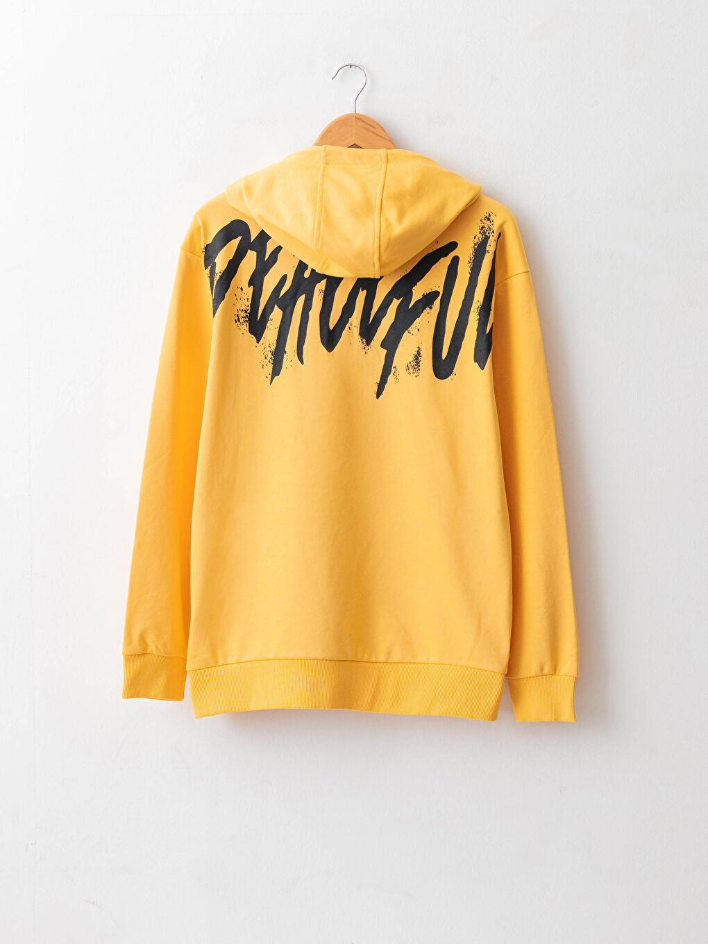 Long Sleeve Printed Thick Men's Hoodie-1