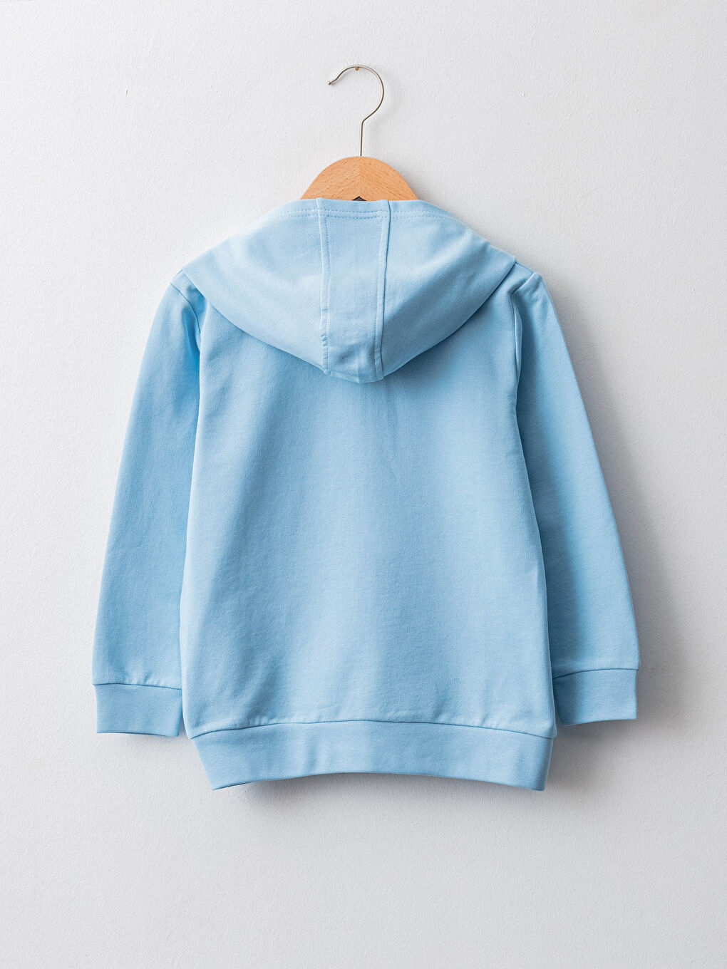 Hooded Basic Long Sleeve Boys' Zippered Sweatshirt-1