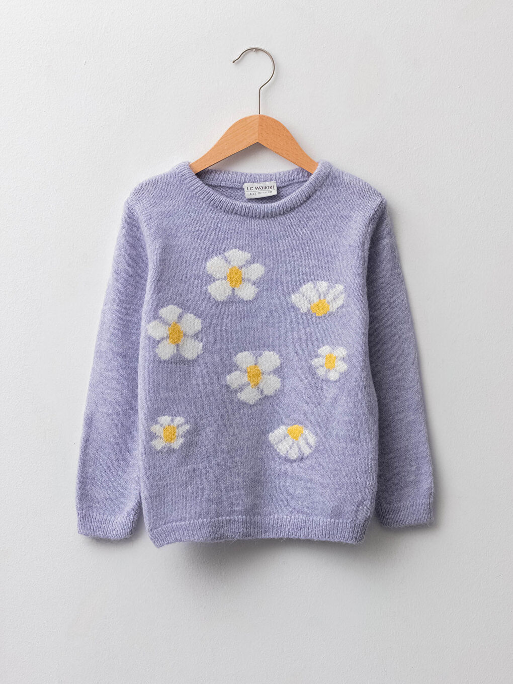 Crew Neck Patterned Long Sleeve Girls' Thick Knitwear Sweater