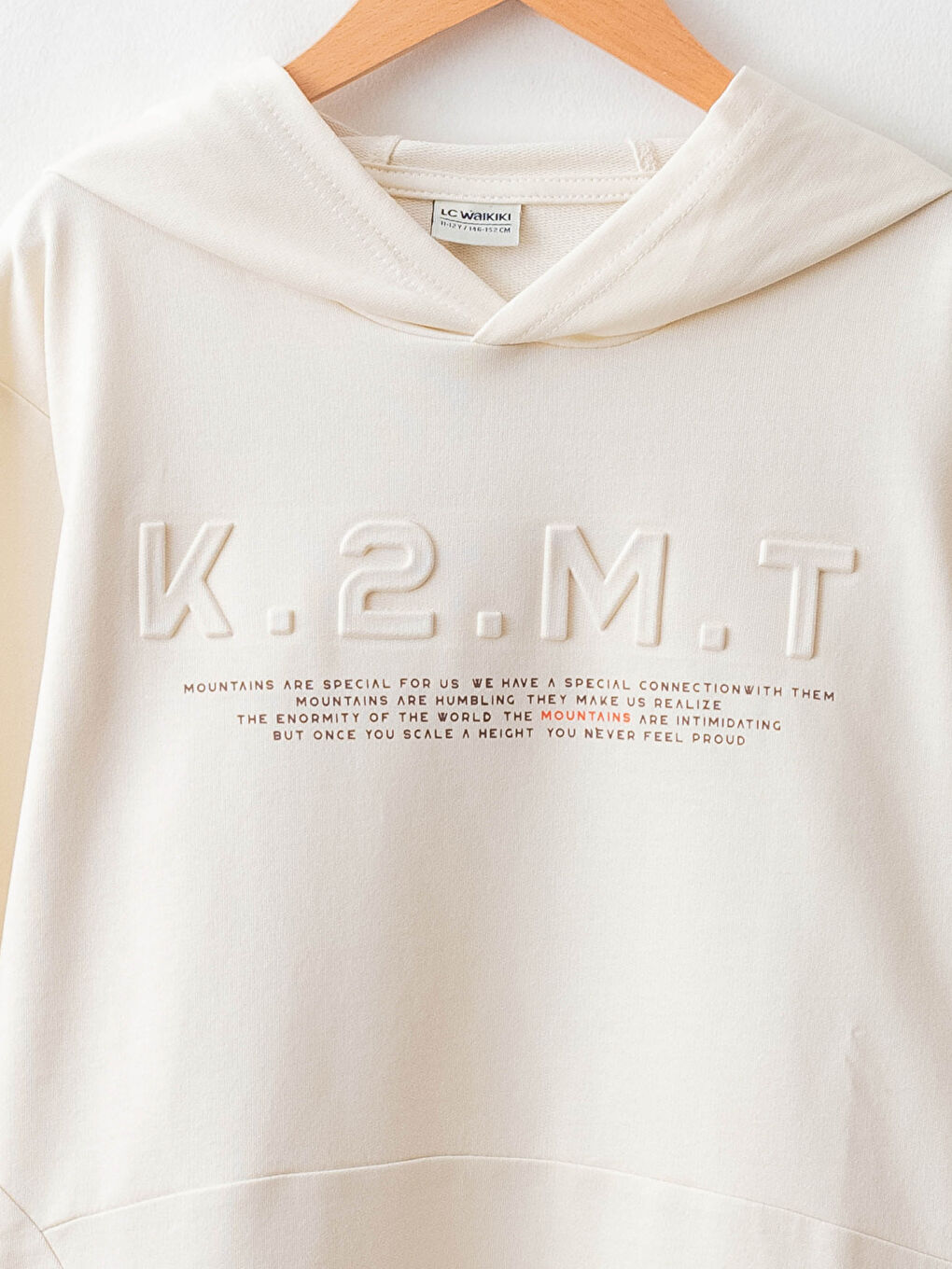 Hooded Printed Long Sleeve Boys' Sweatshirt-2