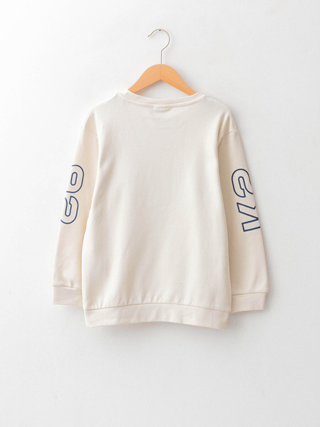 Crew Neck Printed Long Sleeve Boys' Sweatshirt-1