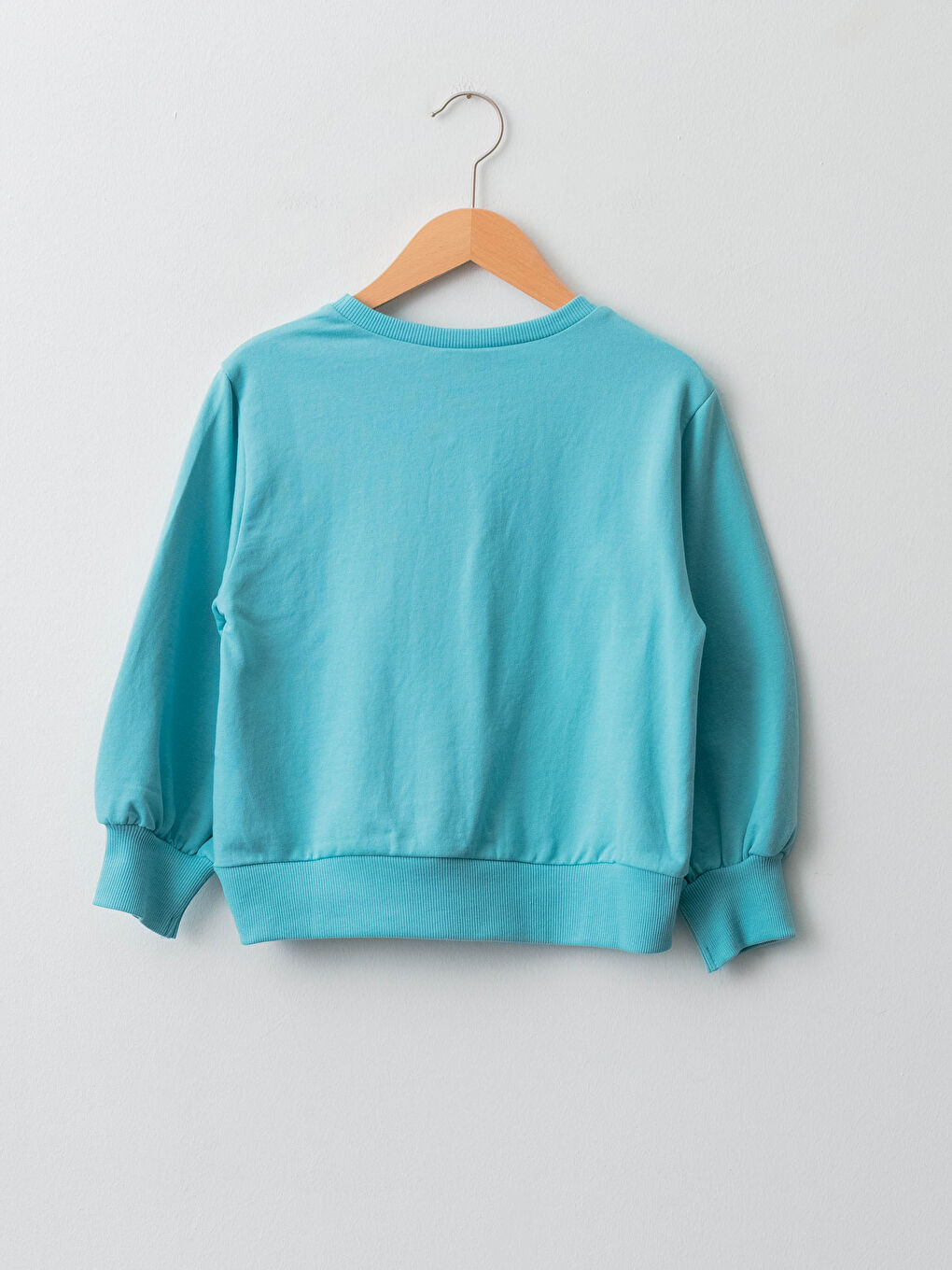 қыздарға арналған ұзын жеңді frozen принтті дөңгелек жағалы свитшот-1