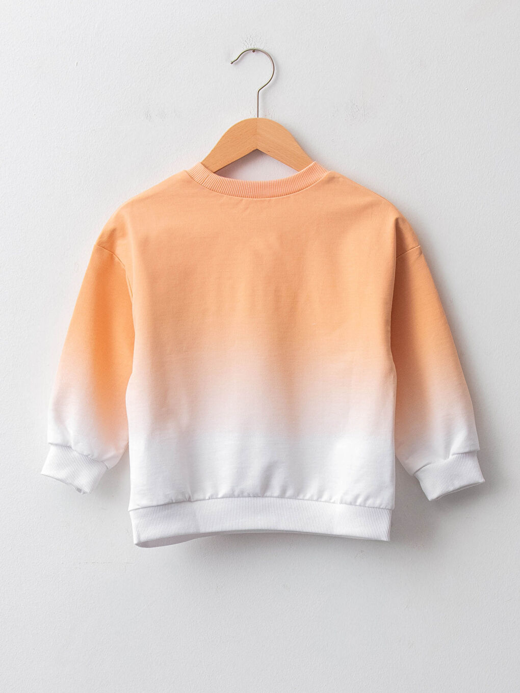 Crew Neck Long Sleeve Printed Cotton Baby Boy Sweatshirt-1