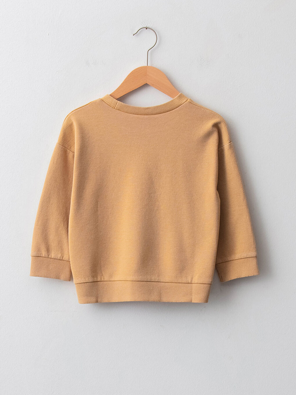 Crew Neck Long Sleeve Printed Baby Boys' Sweatshirt-1