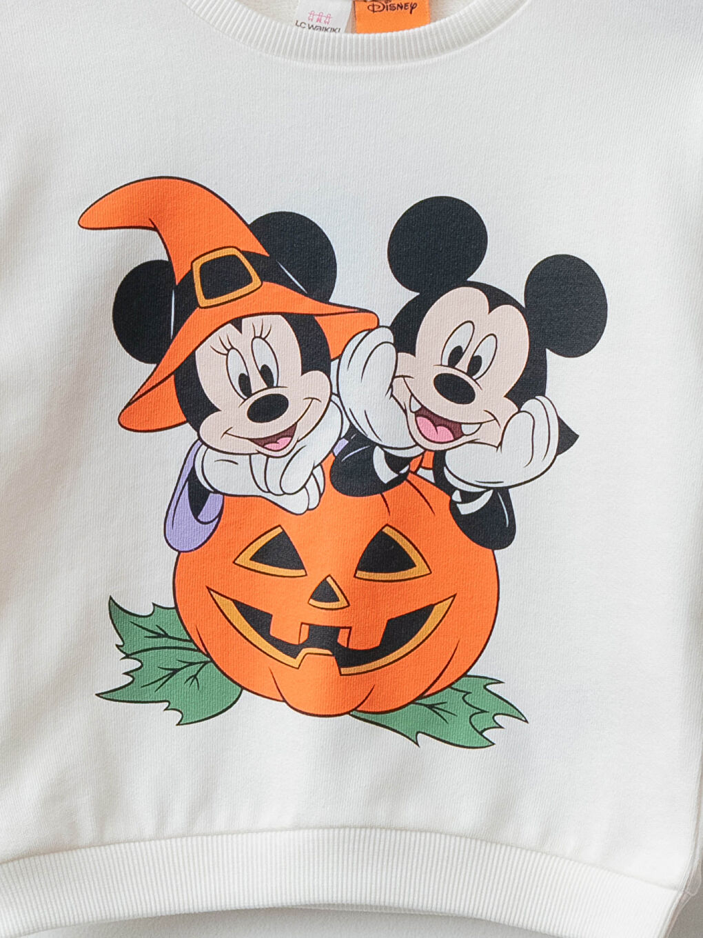 LCW baby Crew Neck Long Sleeve Disney Printed Baby Girl Sweatshirt -W1AQ58Z1-FES
