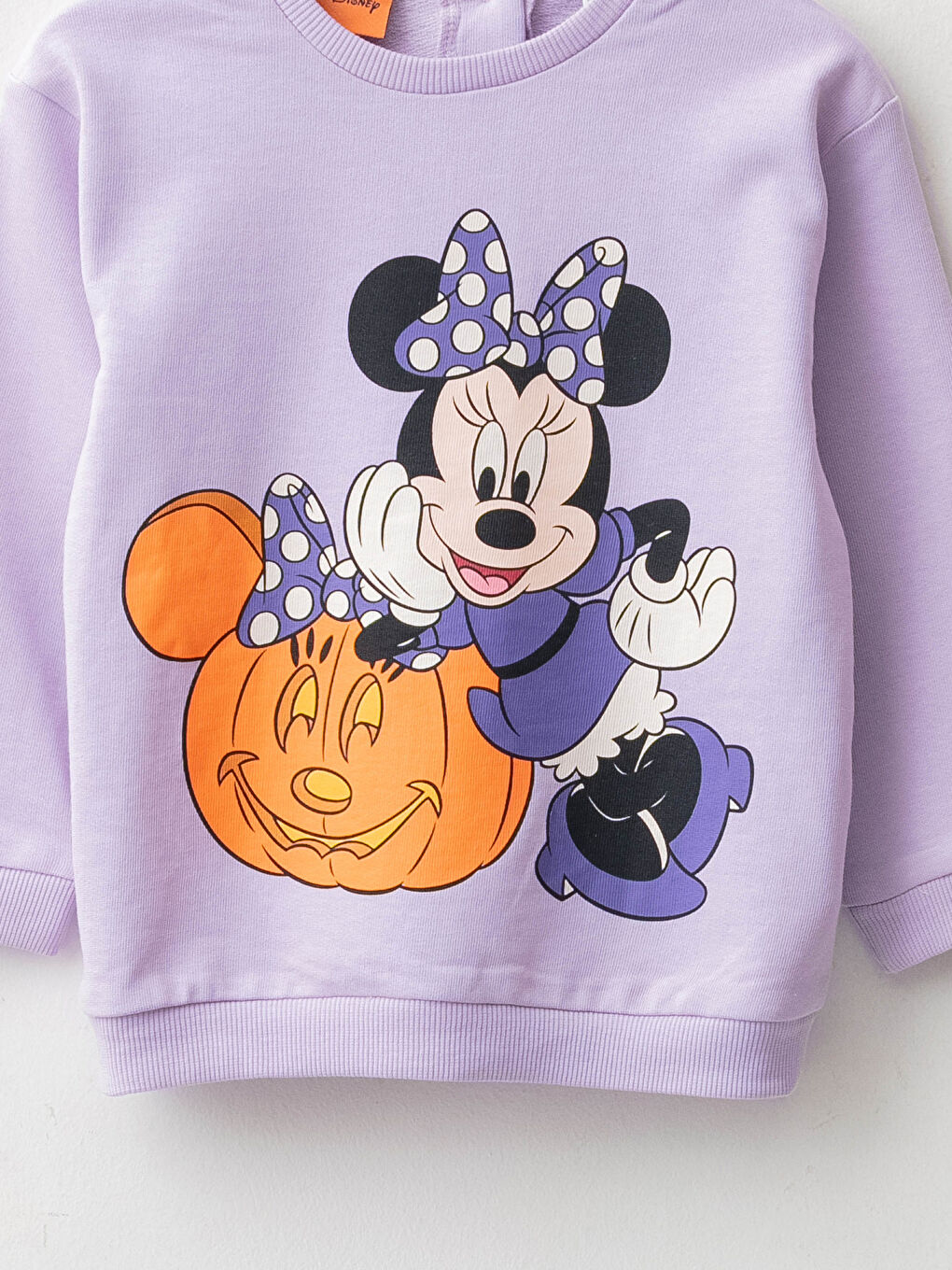 LCW baby Crew Neck Long Sleeved Minnie Mouse Printed Cotton Baby Girl Sweatshirt and Pants 2-Pack -W1AQ59Z1-G0W