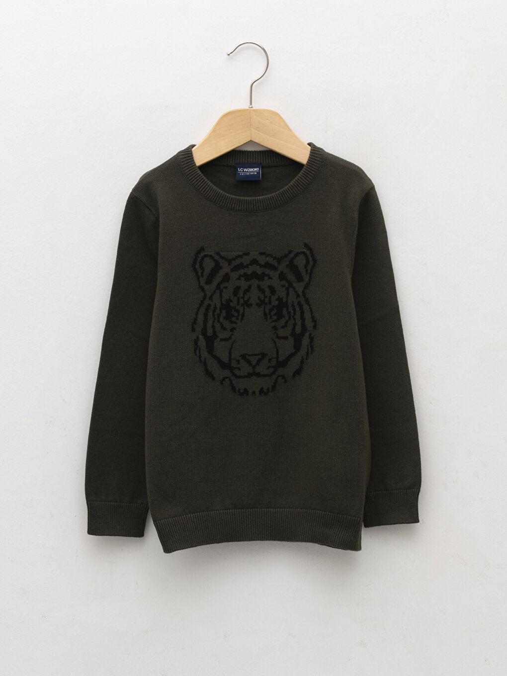 Crew Neck Patterned Long Sleeve Boy Thin Tricot Sweater