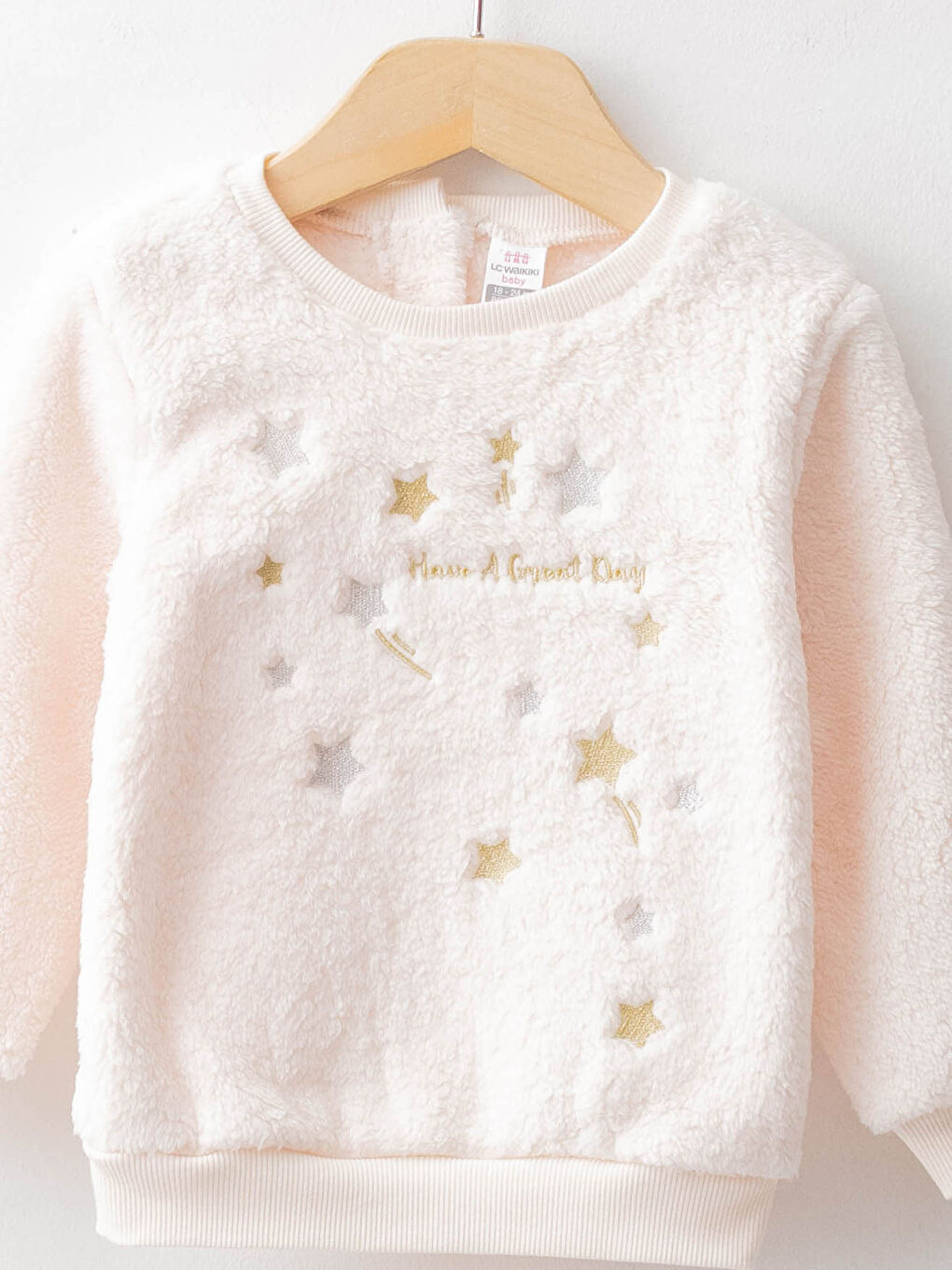 Crew Neck Long Sleeve Embroidery Detailed Plush Baby Girl Sweatshirt-2