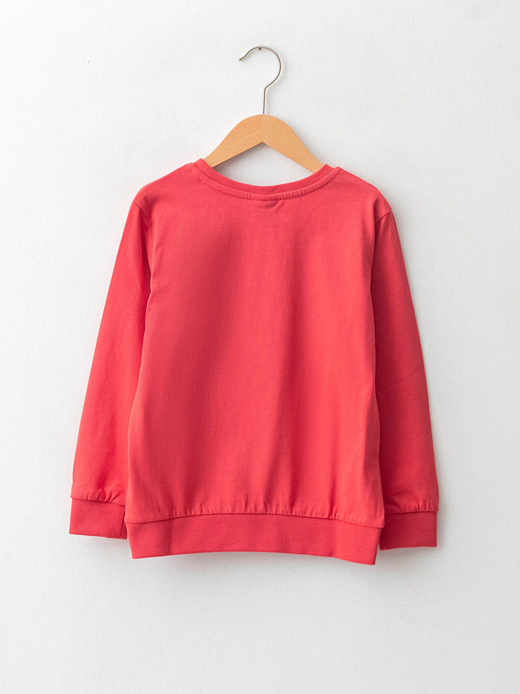 Crew Neck Printed Long Sleeve Boys' T-Shirt-1