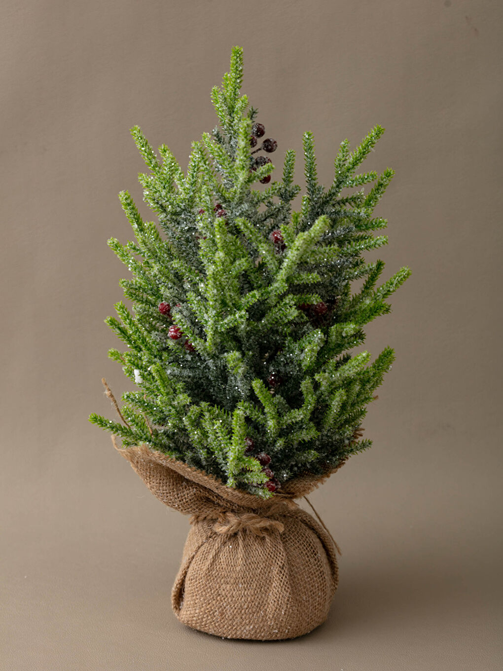 Lcw Home Sapin En Plastique Décoratif Thématique De Noël 40 Cm -W1CC71Z8-F9C
