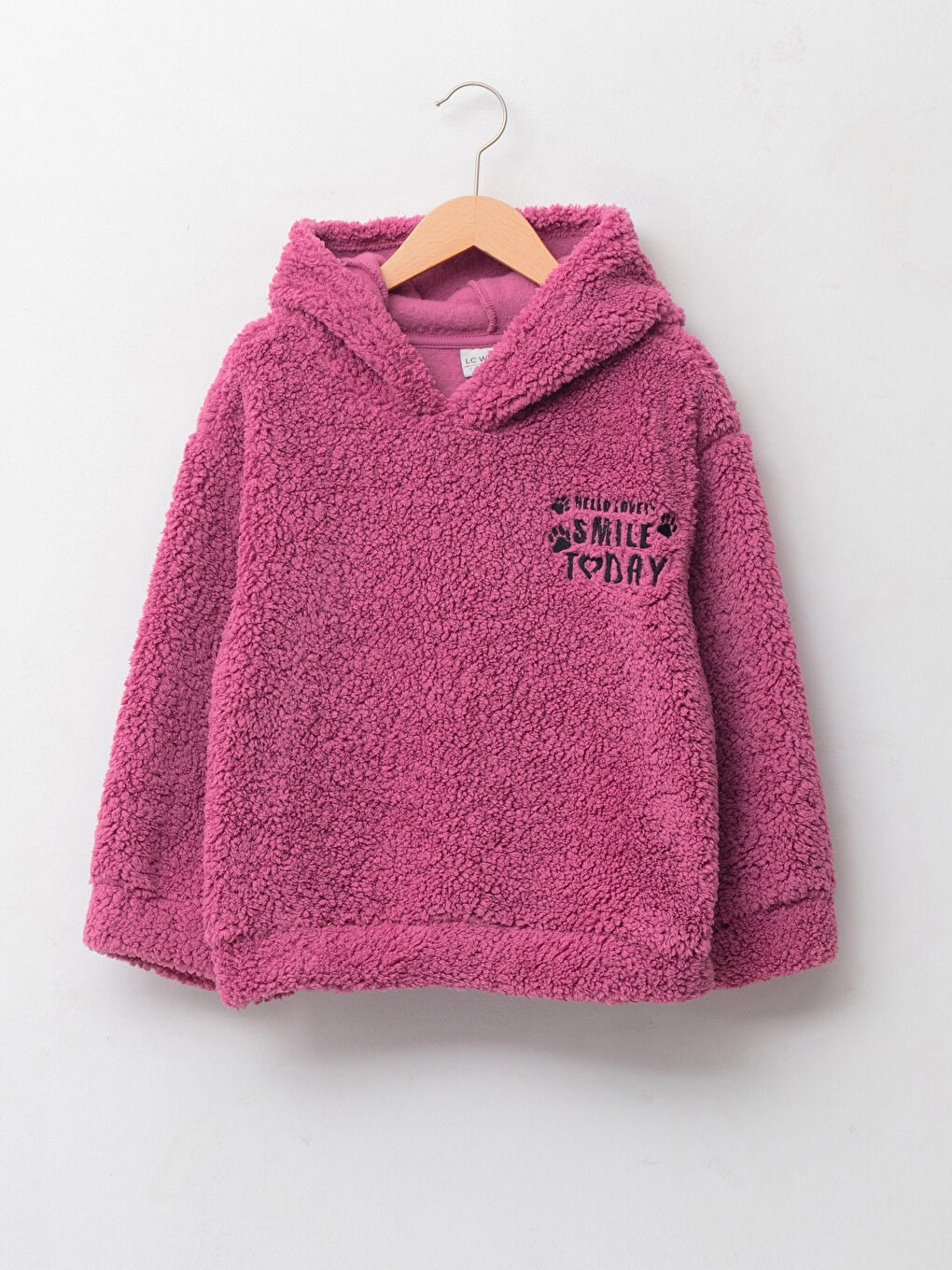 Hooded Embroidered Long Sleeve Plush Girl Sweatshirt