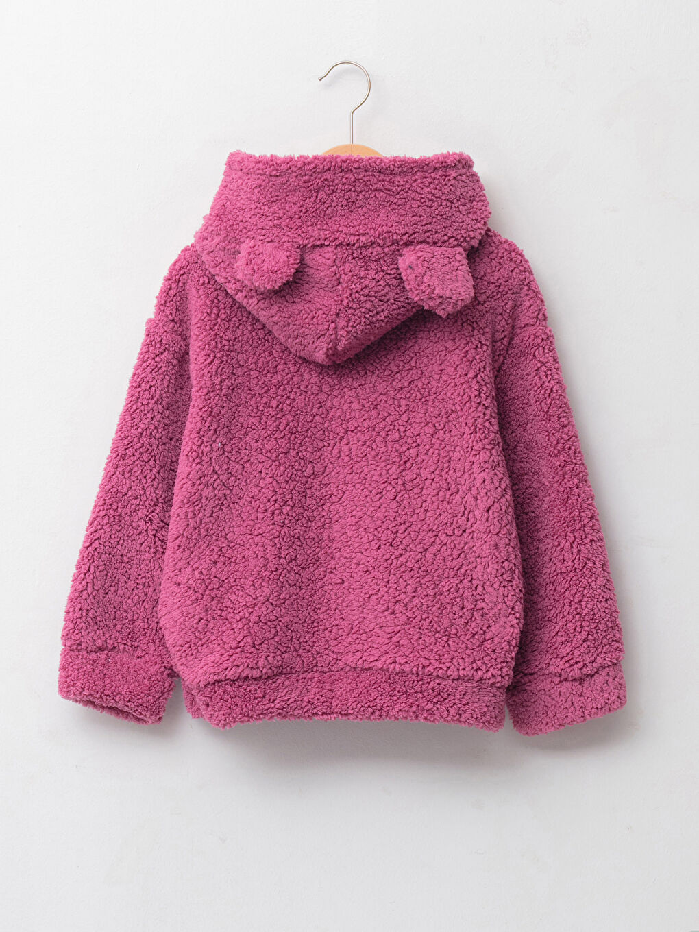 Hooded Embroidered Long Sleeve Plush Girl Sweatshirt-1