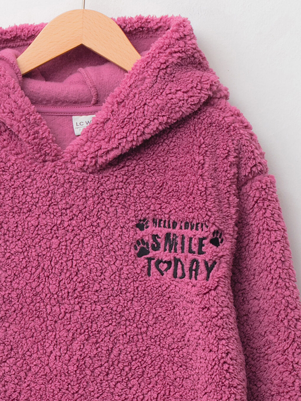 Hooded Embroidered Long Sleeve Plush Girl Sweatshirt-2