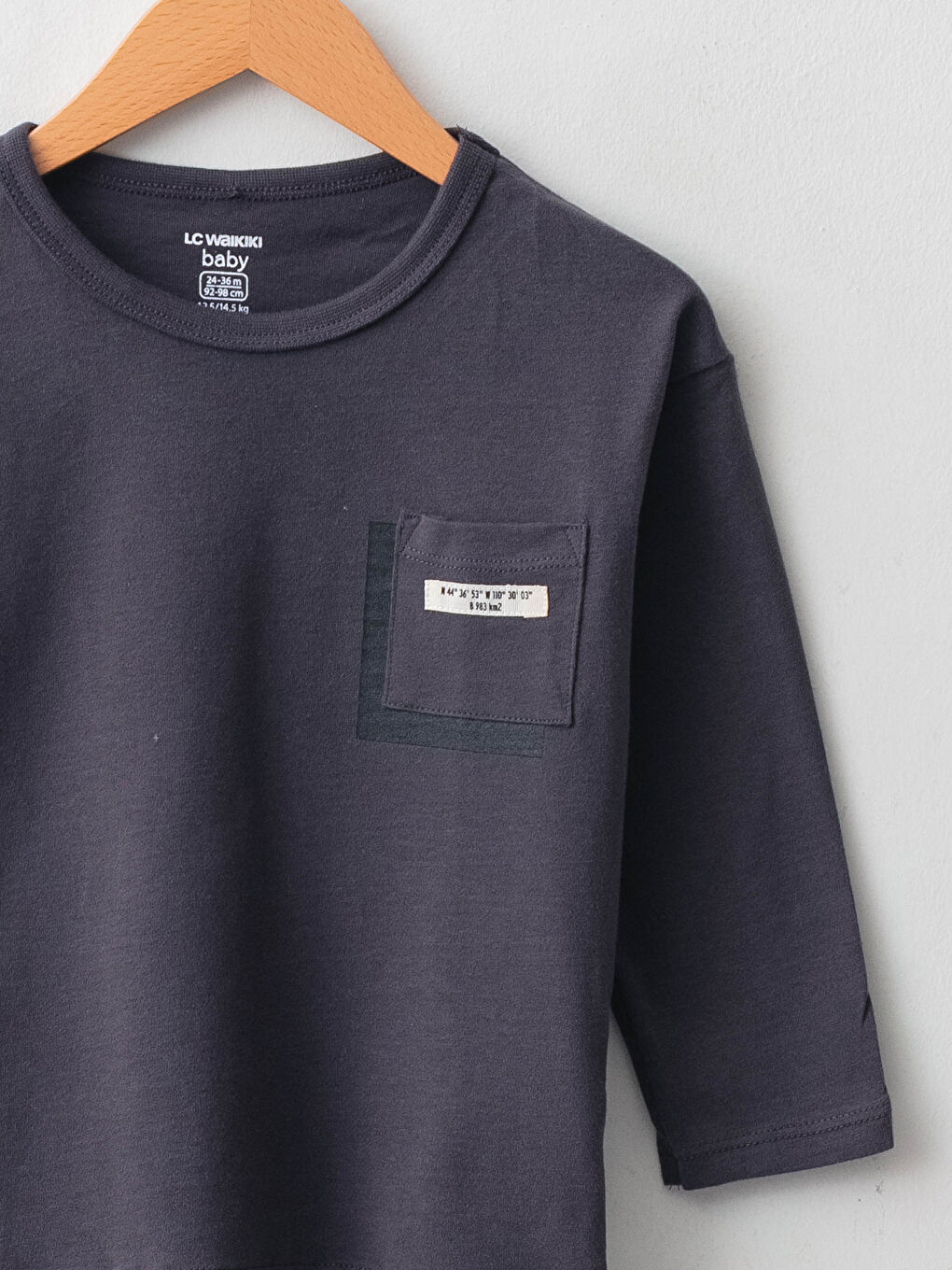 Crew Neck Long Sleeve Printed Cotton Baby Boy T-shirt-2