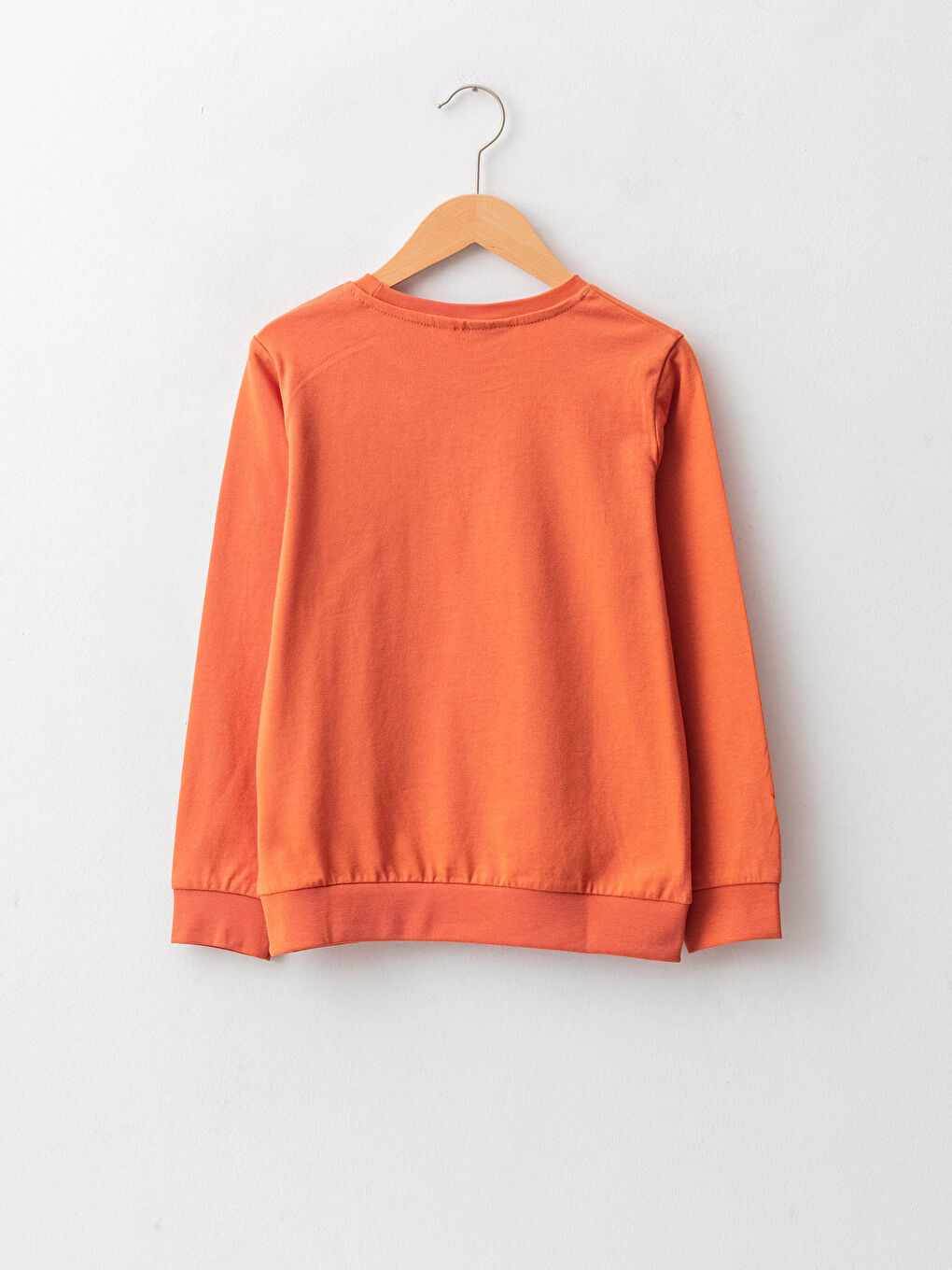 Crew Neck Looney Tunes Printed Long Sleeve Boy T-shirt-1