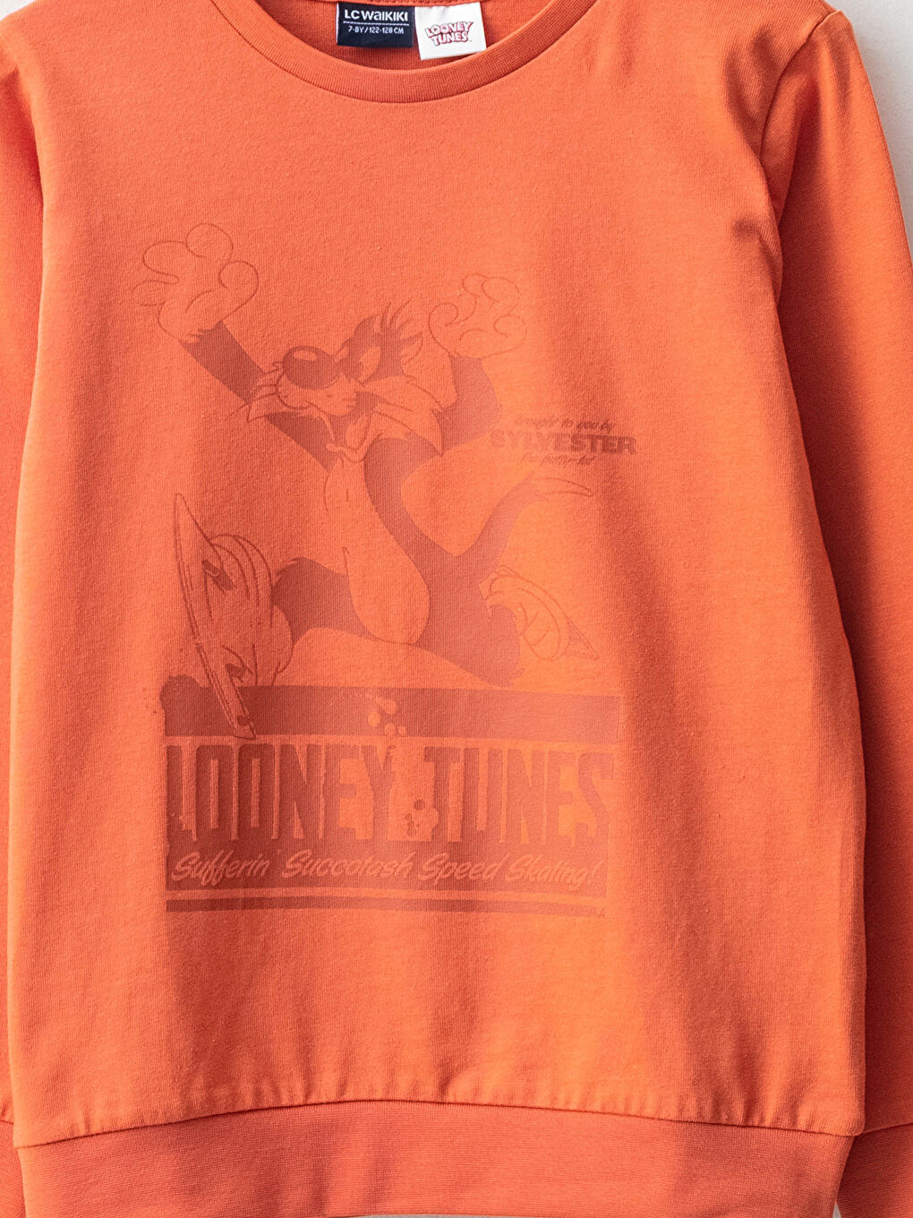 Crew Neck Looney Tunes Printed Long Sleeve Boy T-shirt-2
