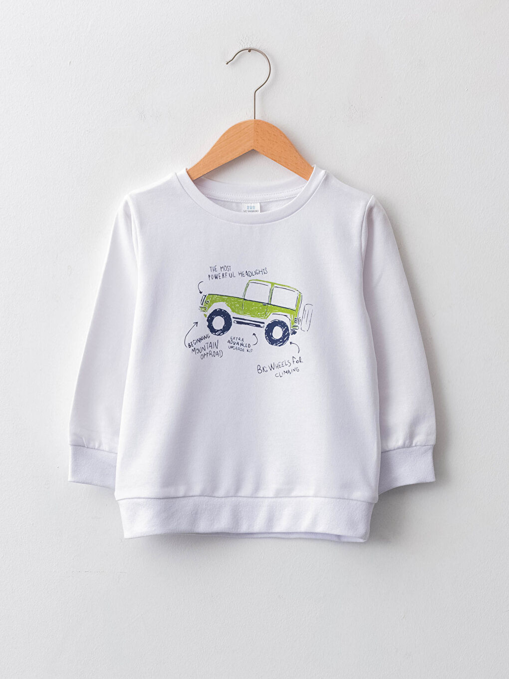 Crew Neck Long Sleeve Printed Baby Boys' Sweatshirt