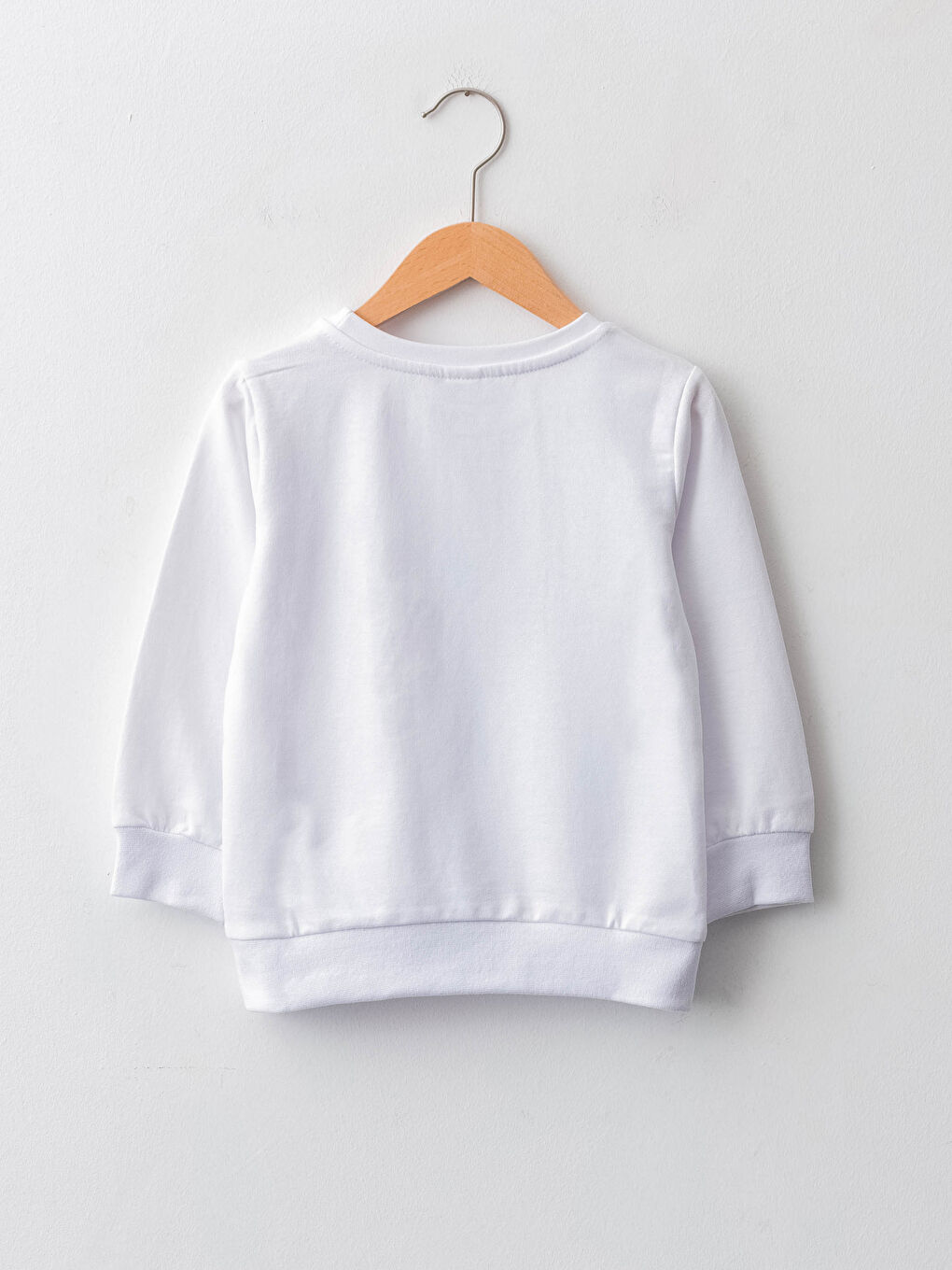 Crew Neck Long Sleeve Printed Baby Boys' Sweatshirt-1