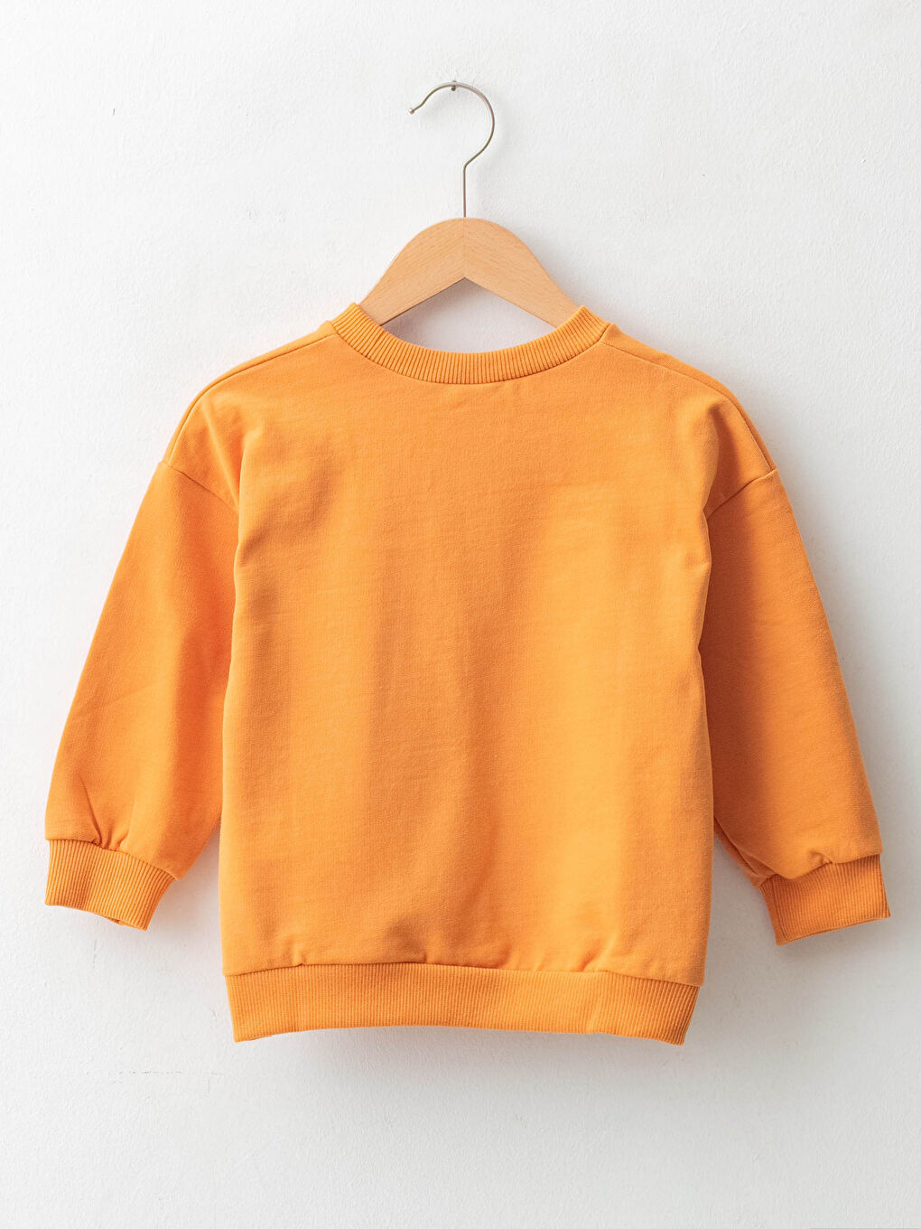 Crew Neck Long Sleeve Baby Boys' Sweatshirt-1