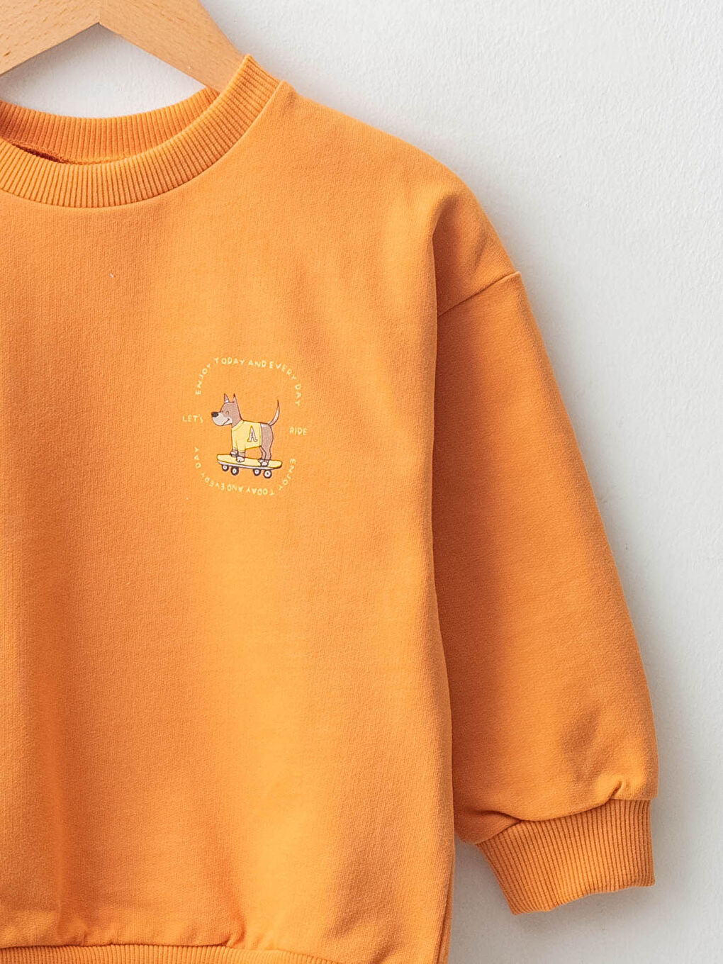 Crew Neck Long Sleeve Baby Boys' Sweatshirt-2