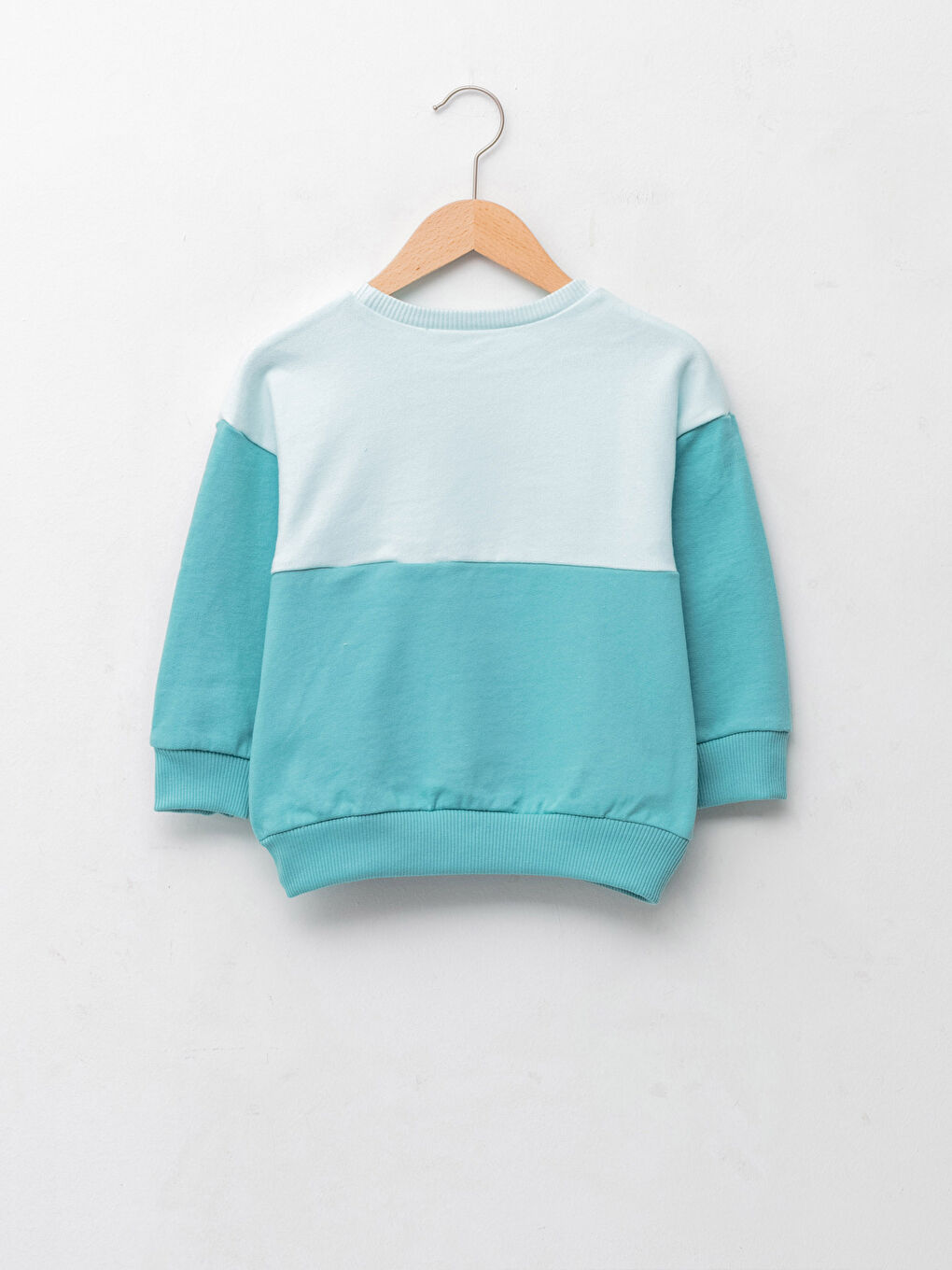 Crew Neck Long Sleeve Printed Baby Boys' Sweatshirt-1