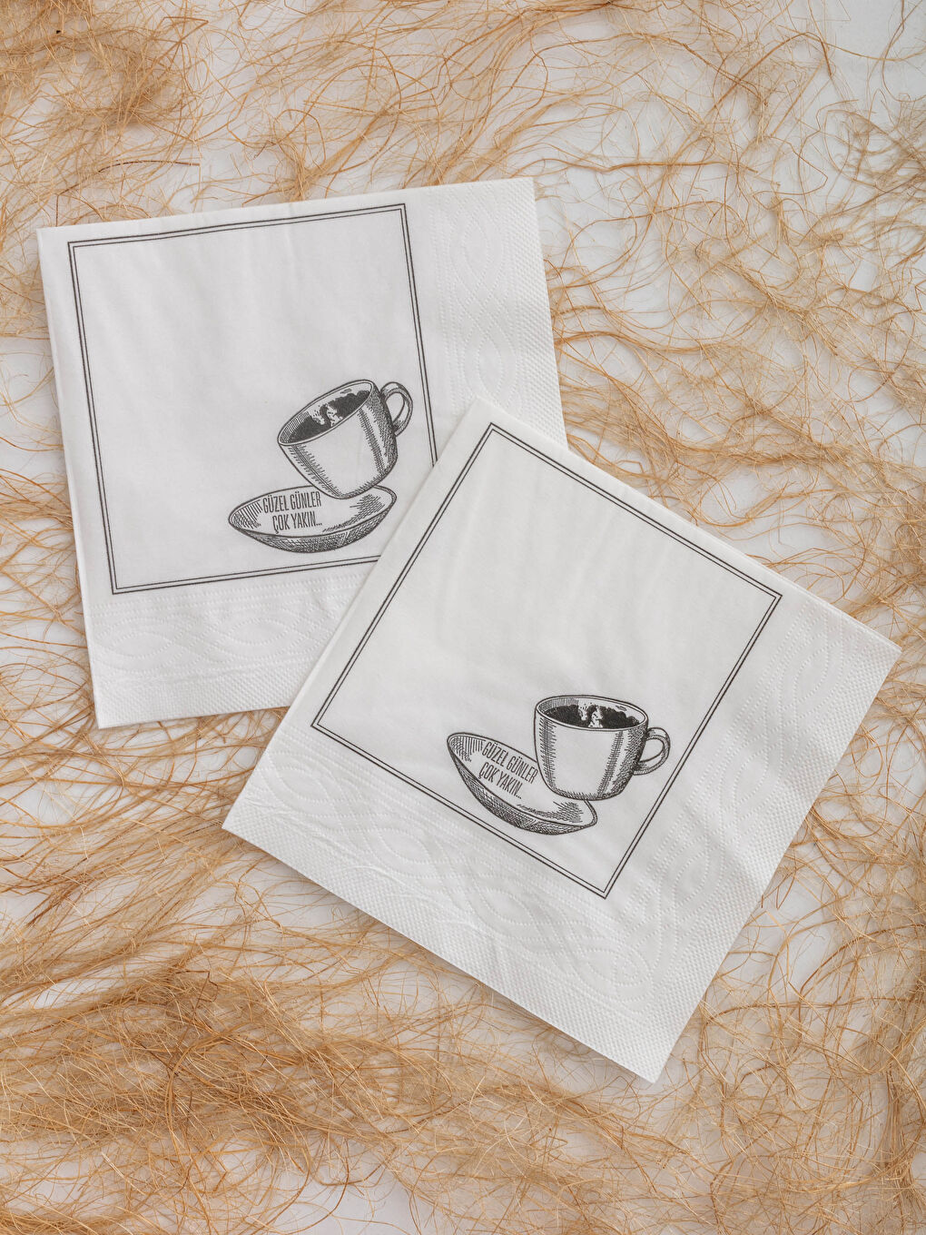 Printed Paper Napkin 16x16 Cm