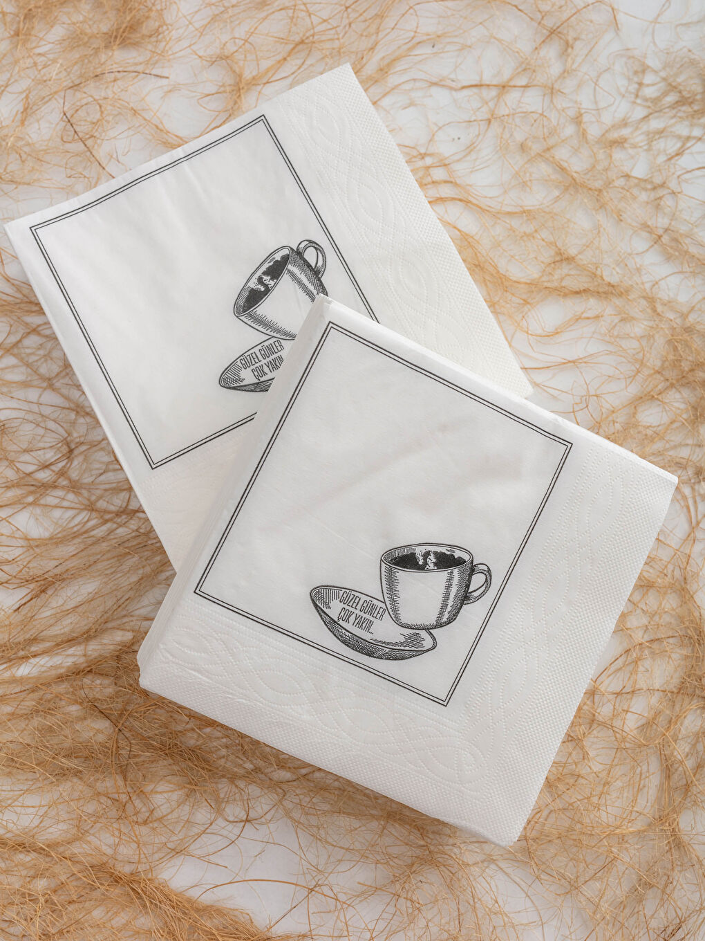 Printed Paper Napkin 16x16 Cm-1