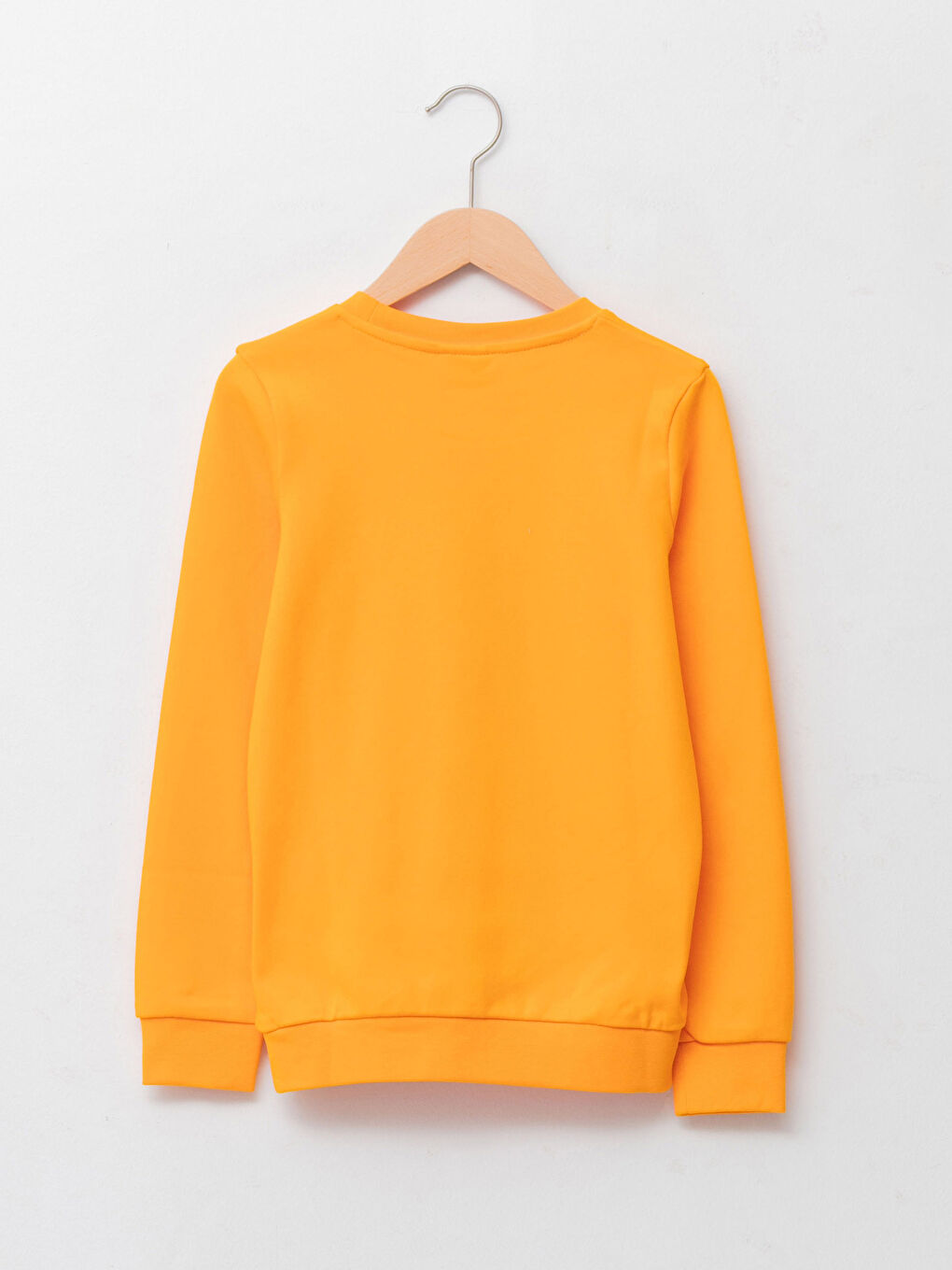 Crew Neck Printed Long Sleeve Boys' T-Shirt-1