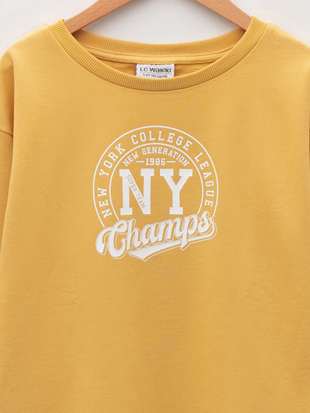 Crew Neck Printed Long Sleeve Girls' Dress-2