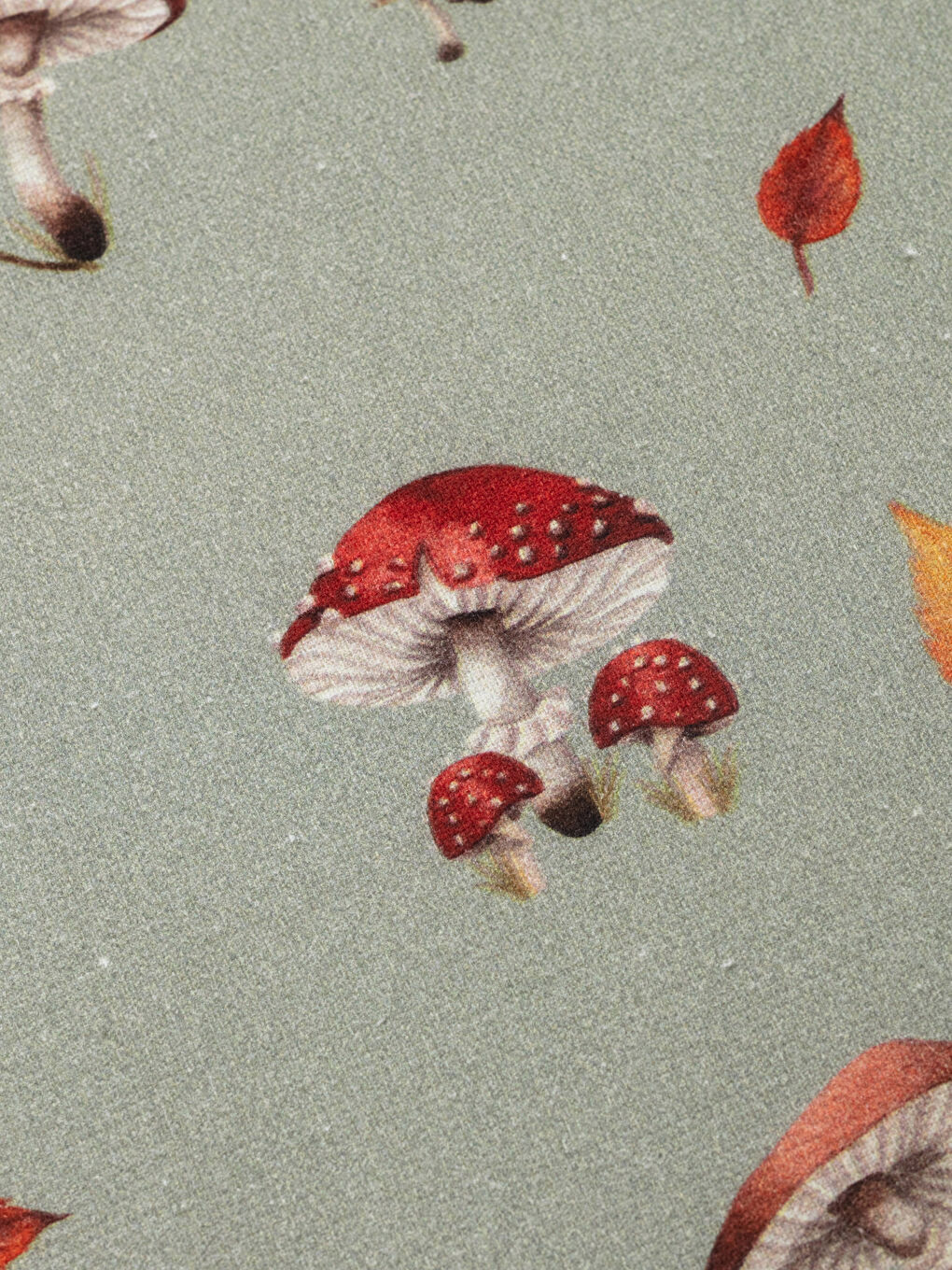 Torchon Imprimé 40x60 Cm-2