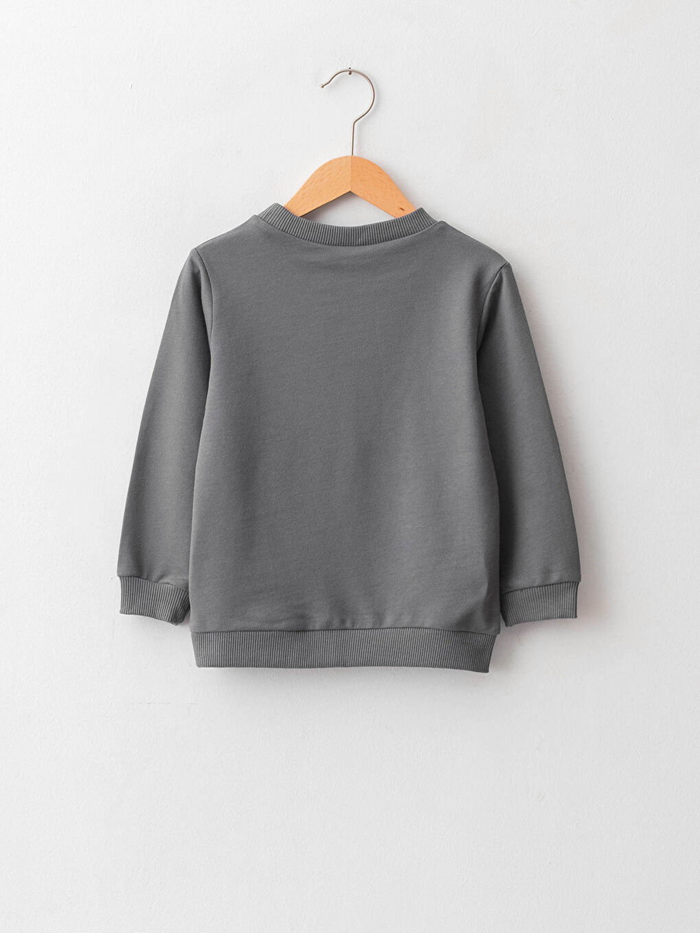 Crew Neck Long Sleeve Cotton Baby Boy T-Shirt-1